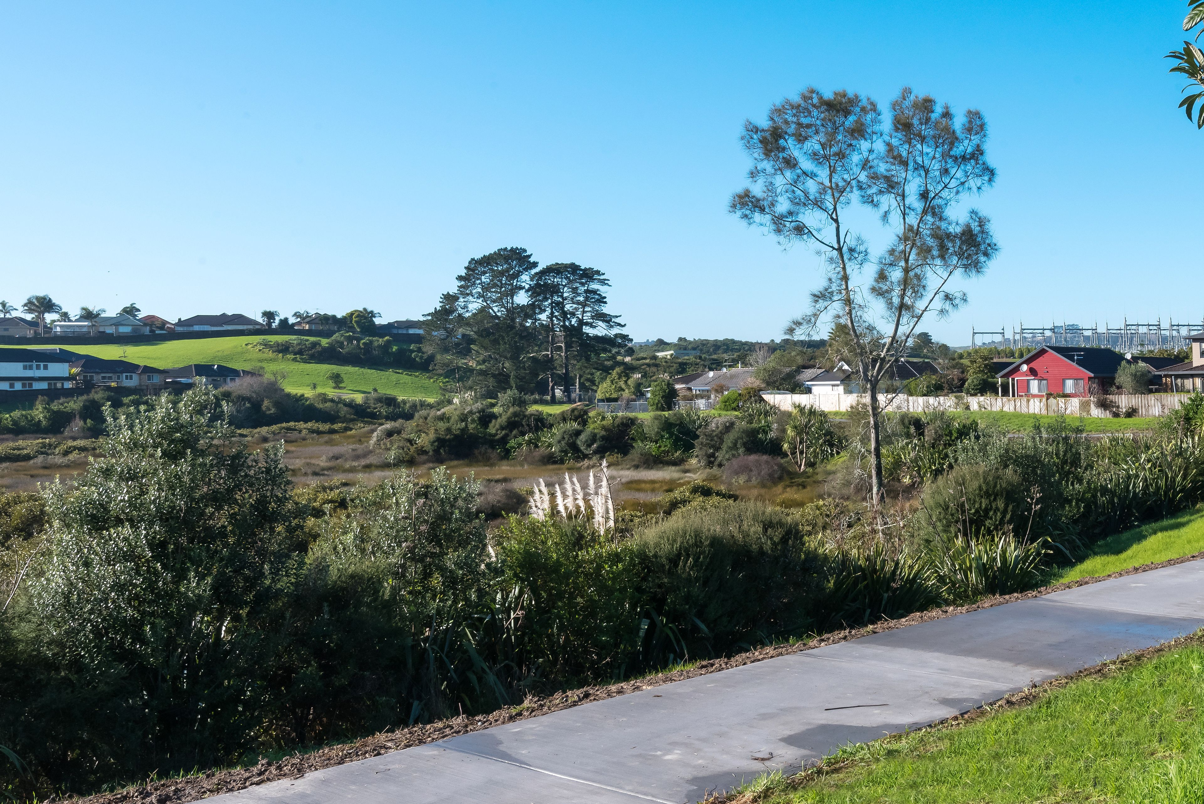 18 Nedlands Place, Burswood, Manukau City