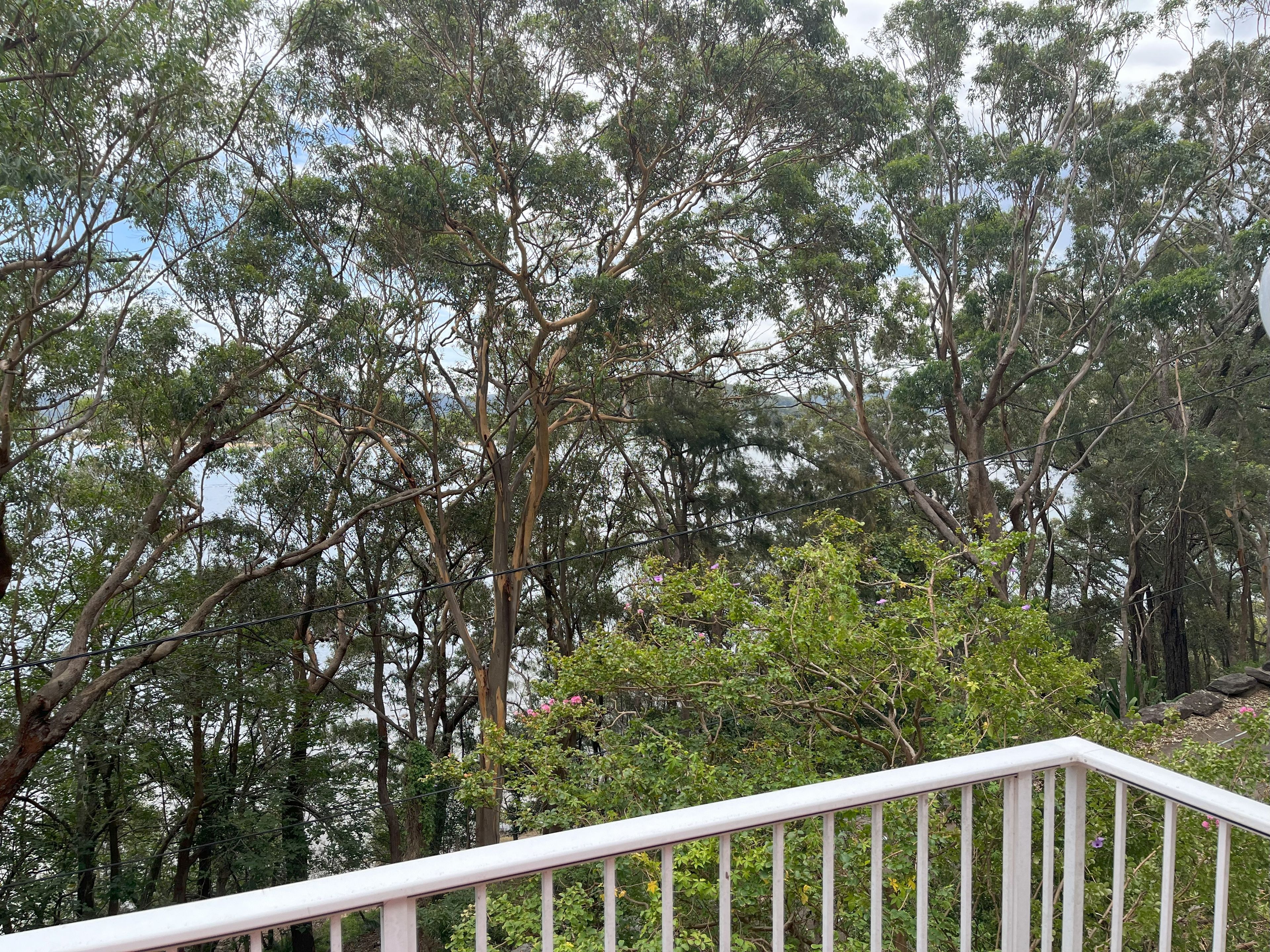 5 Hardys Bay Parade, Killcare, NSW 2257