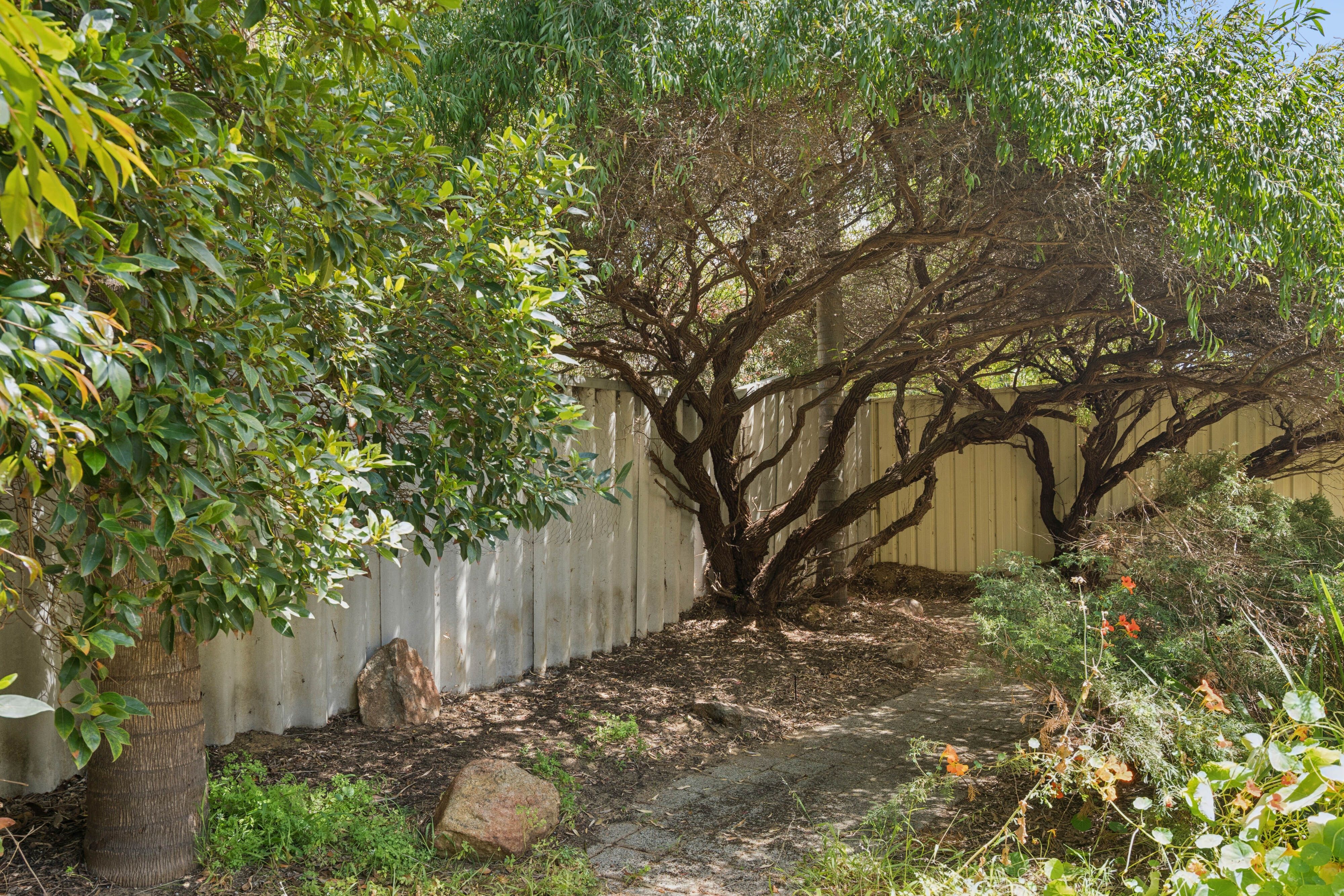2/165 Holland Street — photo 22 of 26