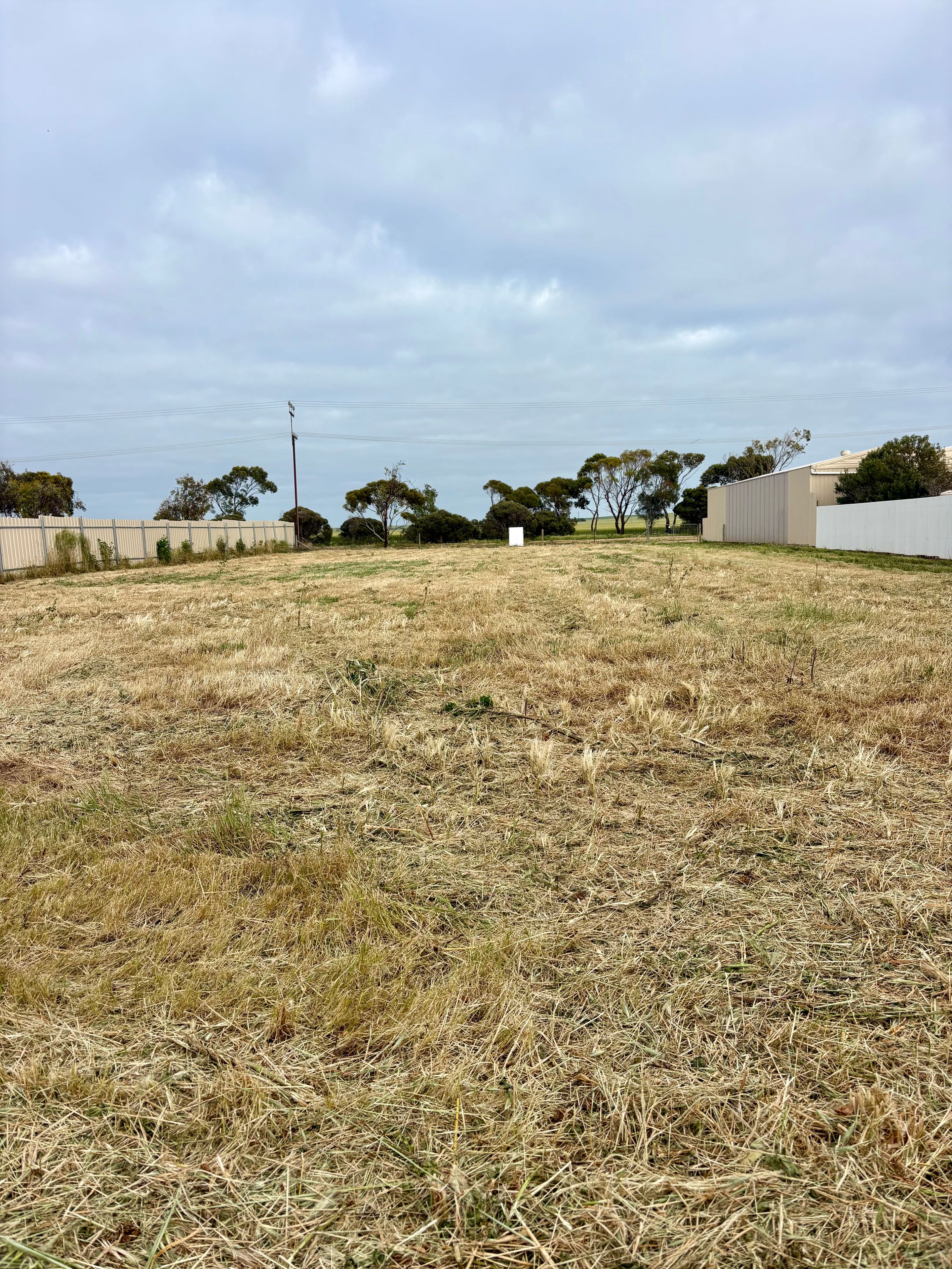 36 Matta Terrace — photo 4 of 9