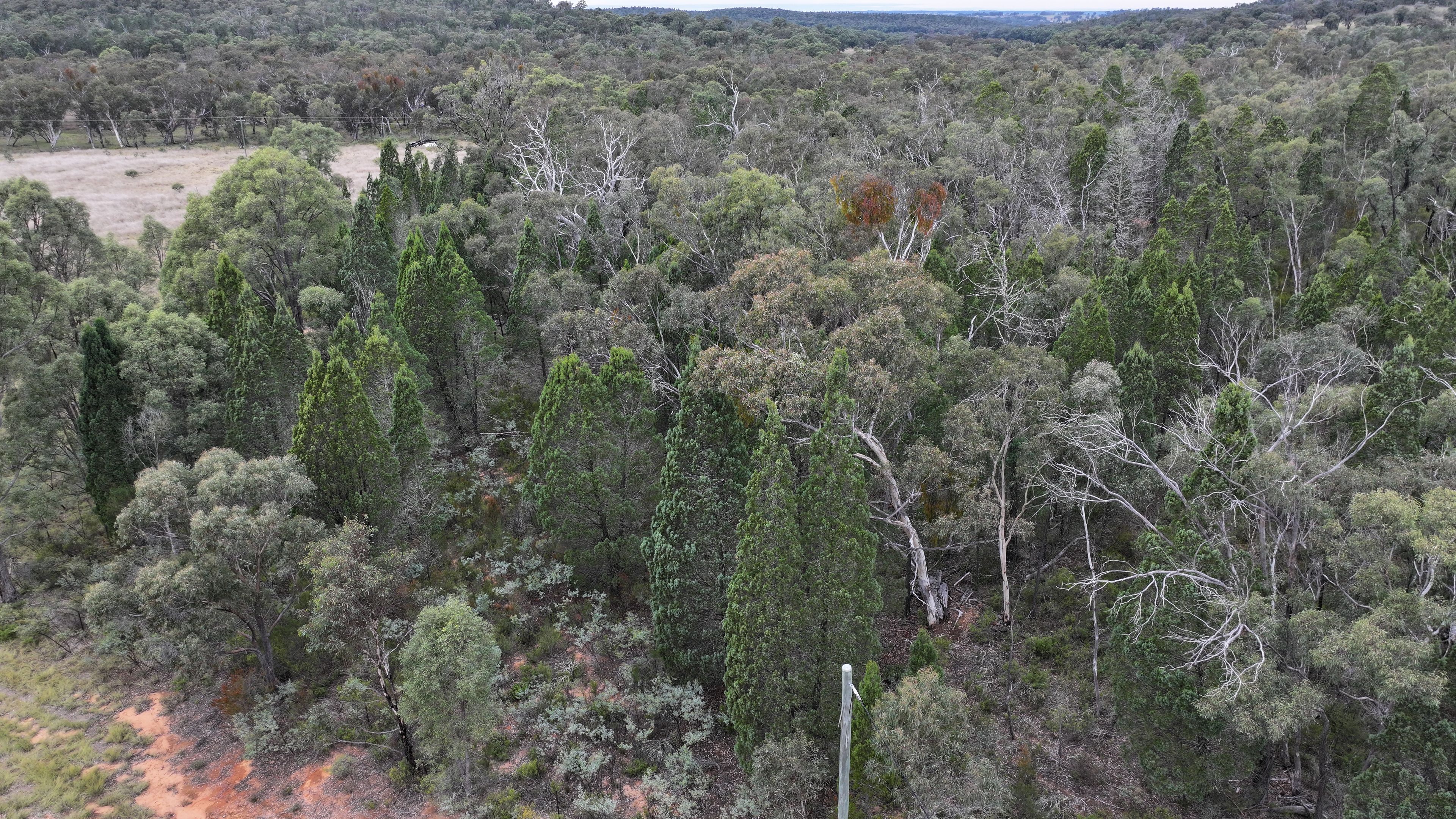 Lot 23 Southern Cross Parade, Coonabarabran, NSW 2357