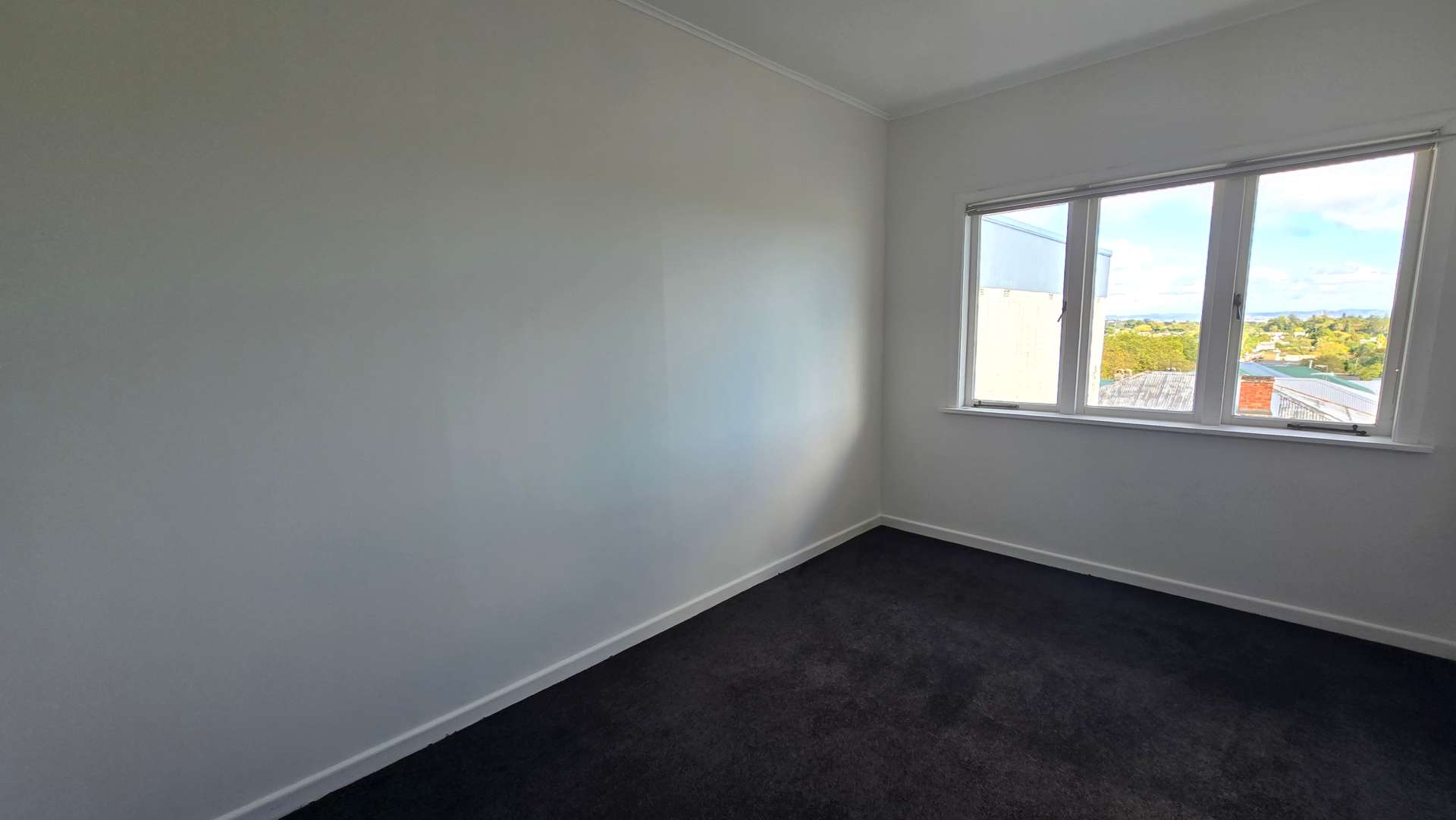 425a Dominion Road photo 10