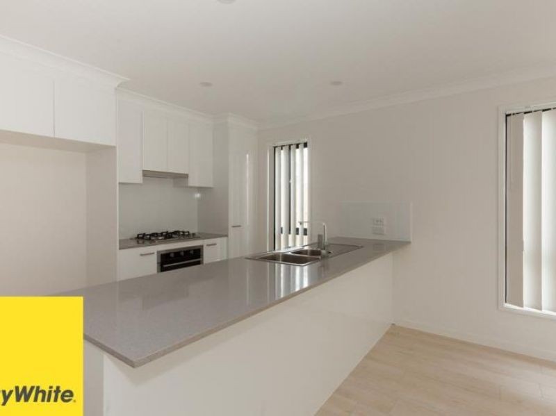 19 Hill Drive, Pimpama, QLD 4209