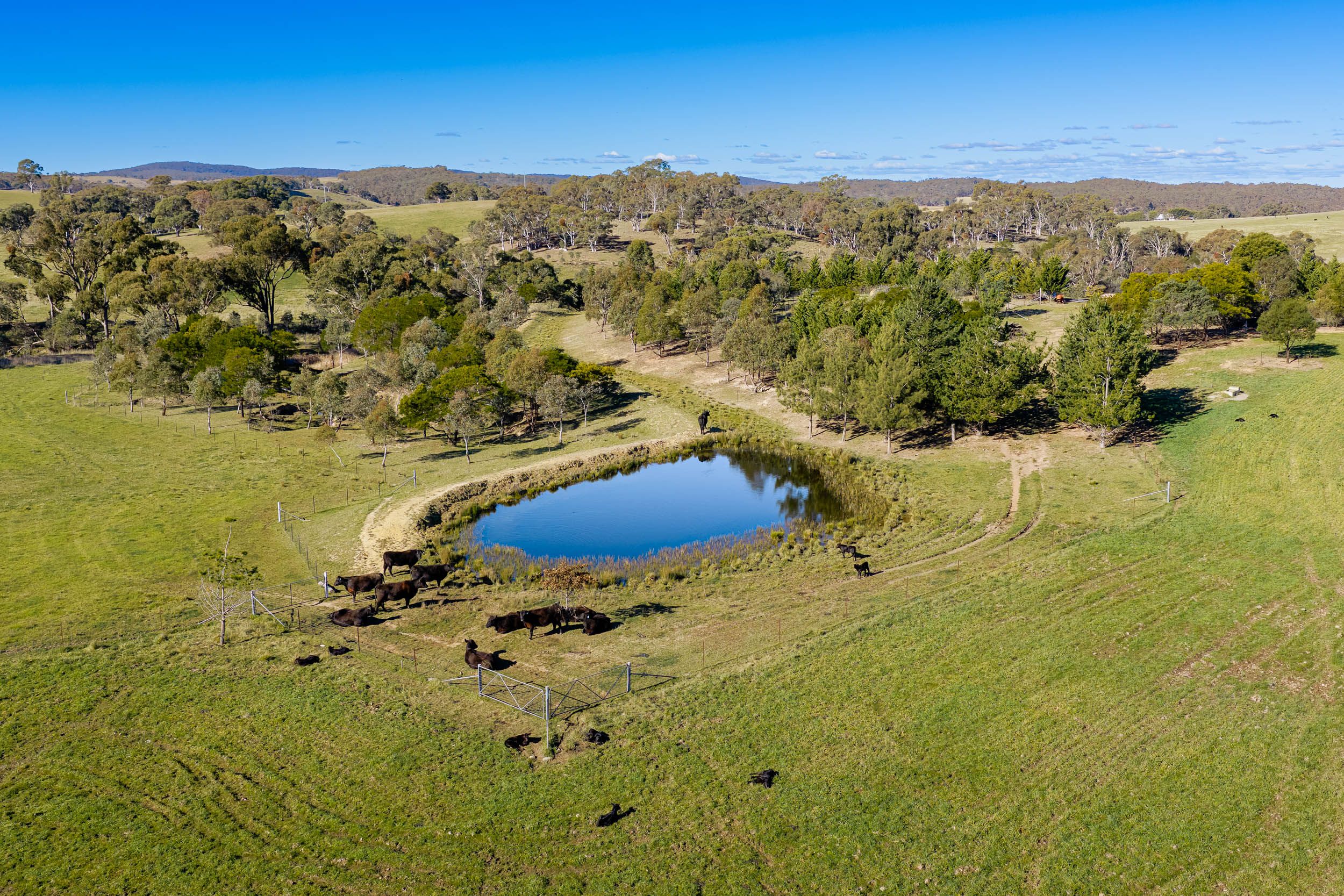 1706 Crookwell Road, Wayo via — photo 11 of 20