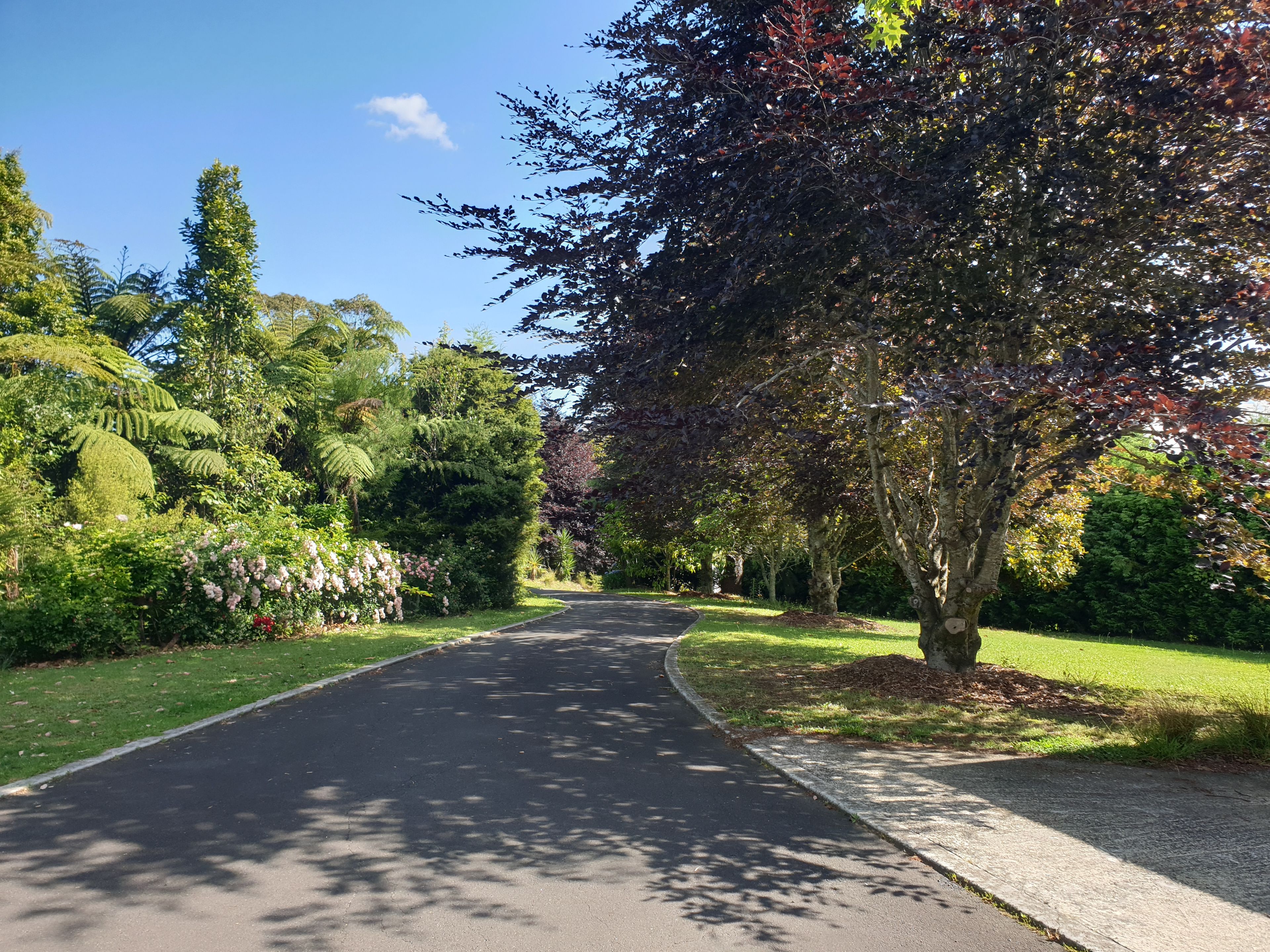 Omanawa, Western Bay Of Plenty District