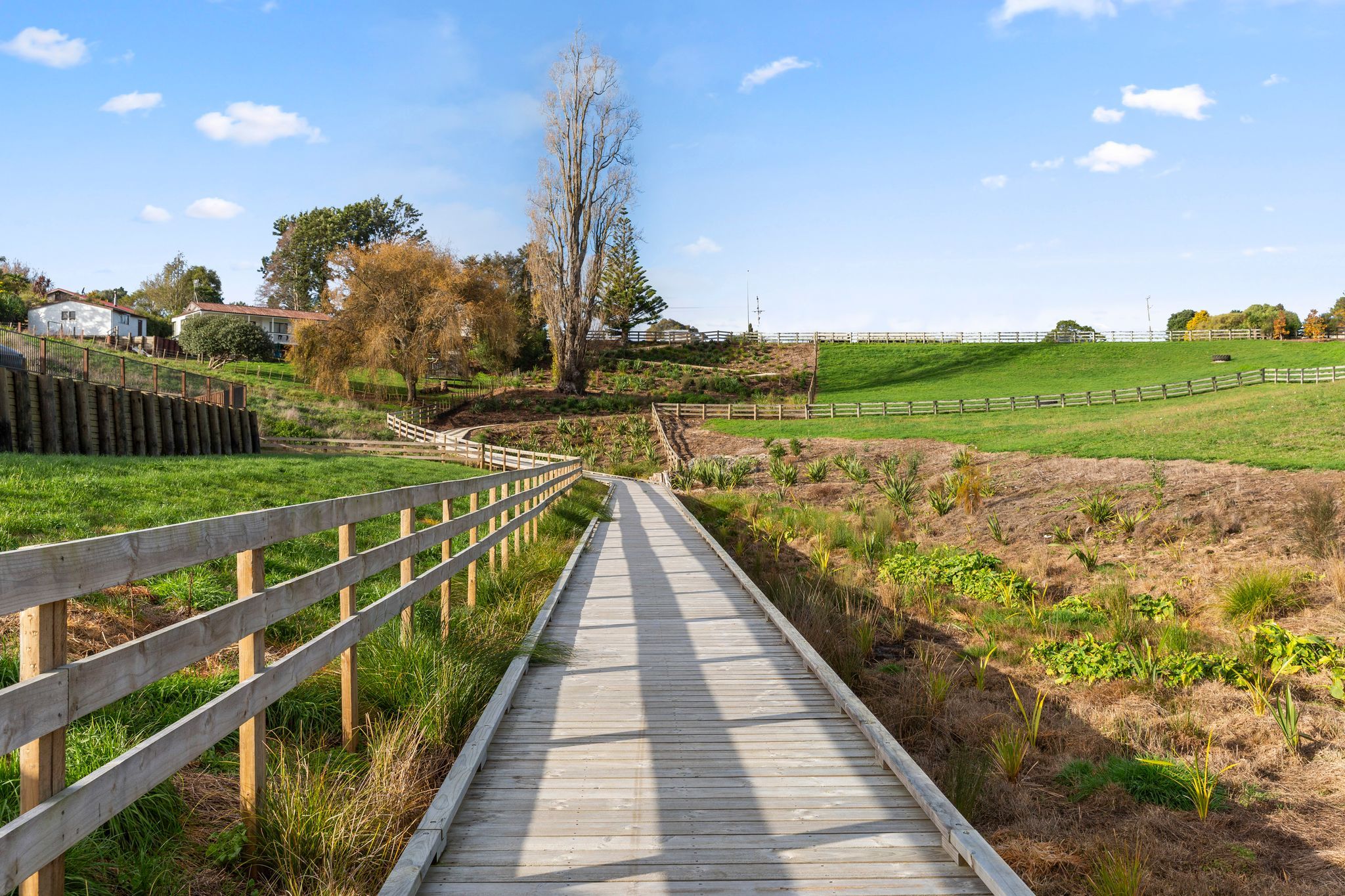 Lot 20 Charles Edwards Street, Ohaupo, Waipa District