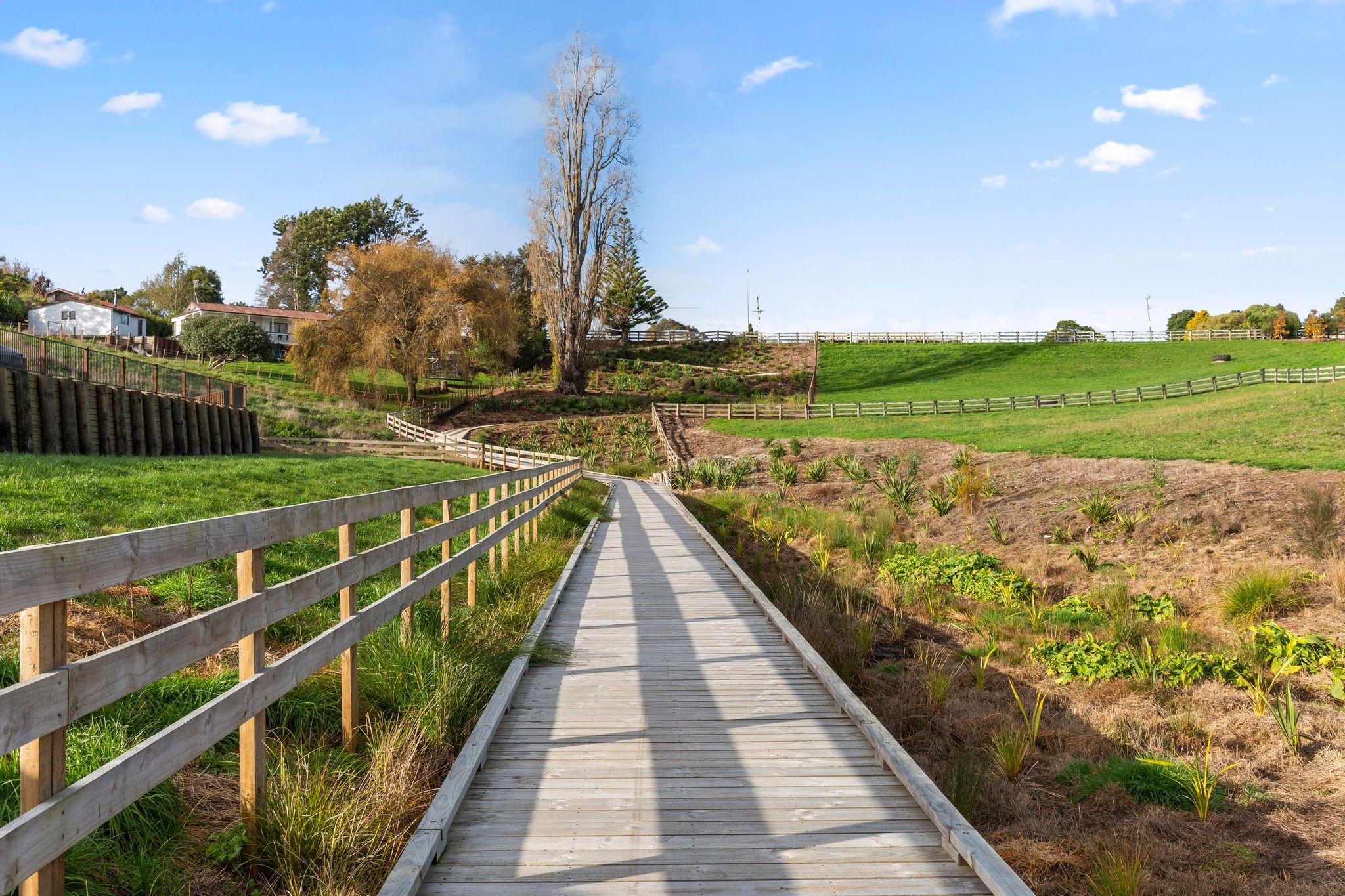 Lot 20 Charles Edwards Street, Ohaupo, Waipa District