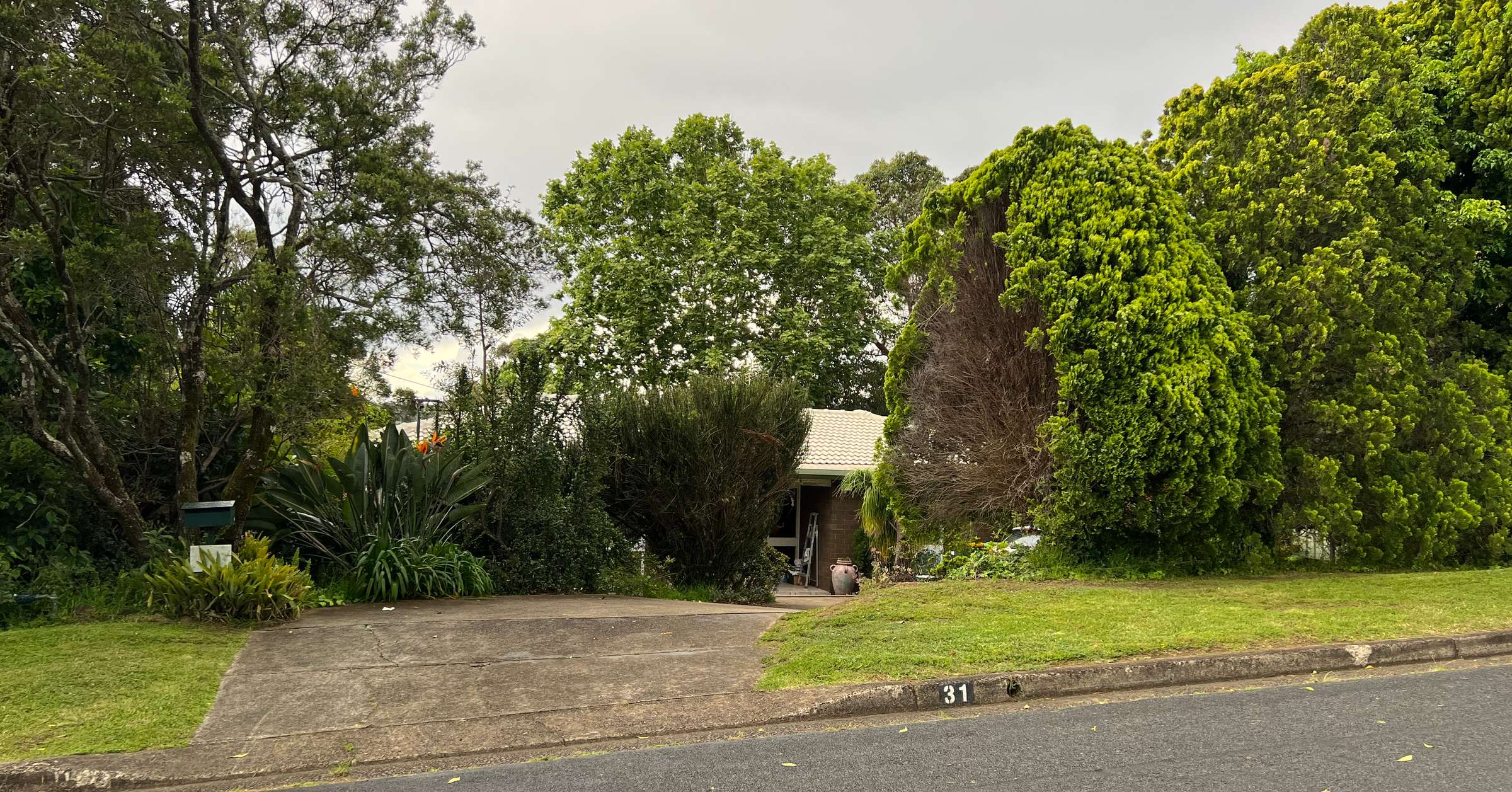 31 Coolibah Street Castle Hill NSW 2154 Sold House Ray White 31-coolibah-street-castle-hill-nsw-2154-sold-house-ray-white