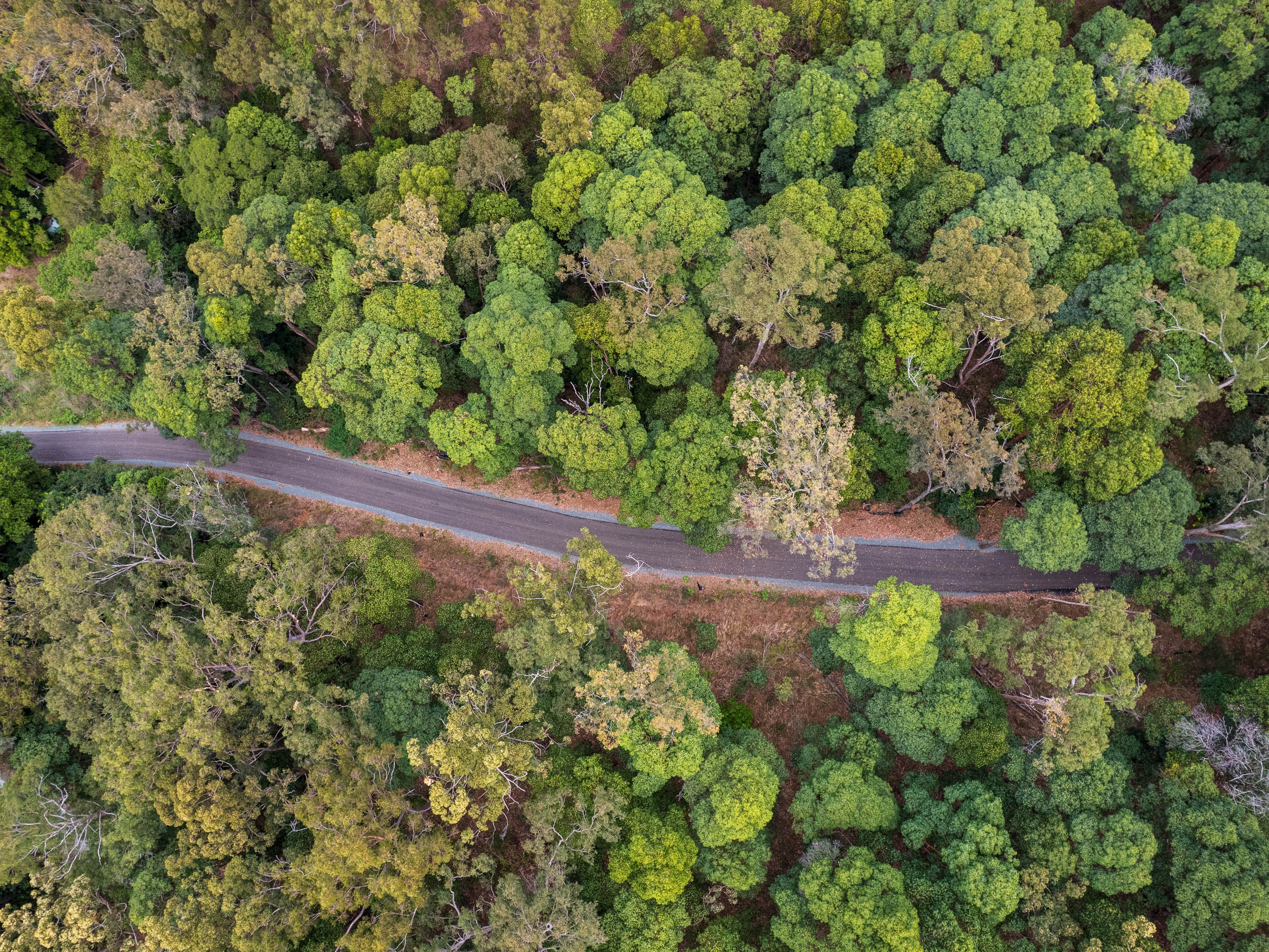 9.98 Hectares of Opportunity — photo 9 of 14
