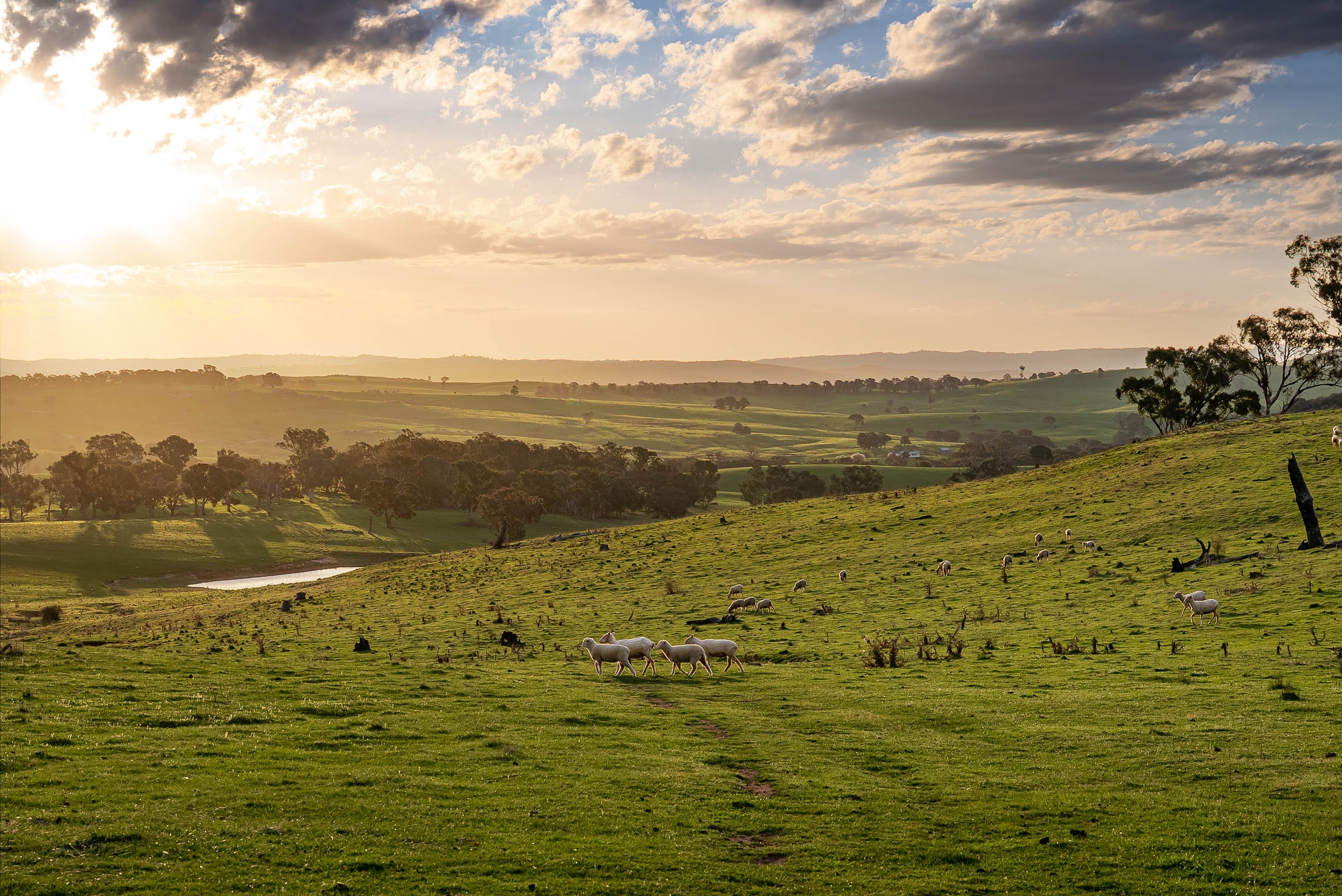 680 Fish River Road Narrawa via, Crookwell, NSW 2583