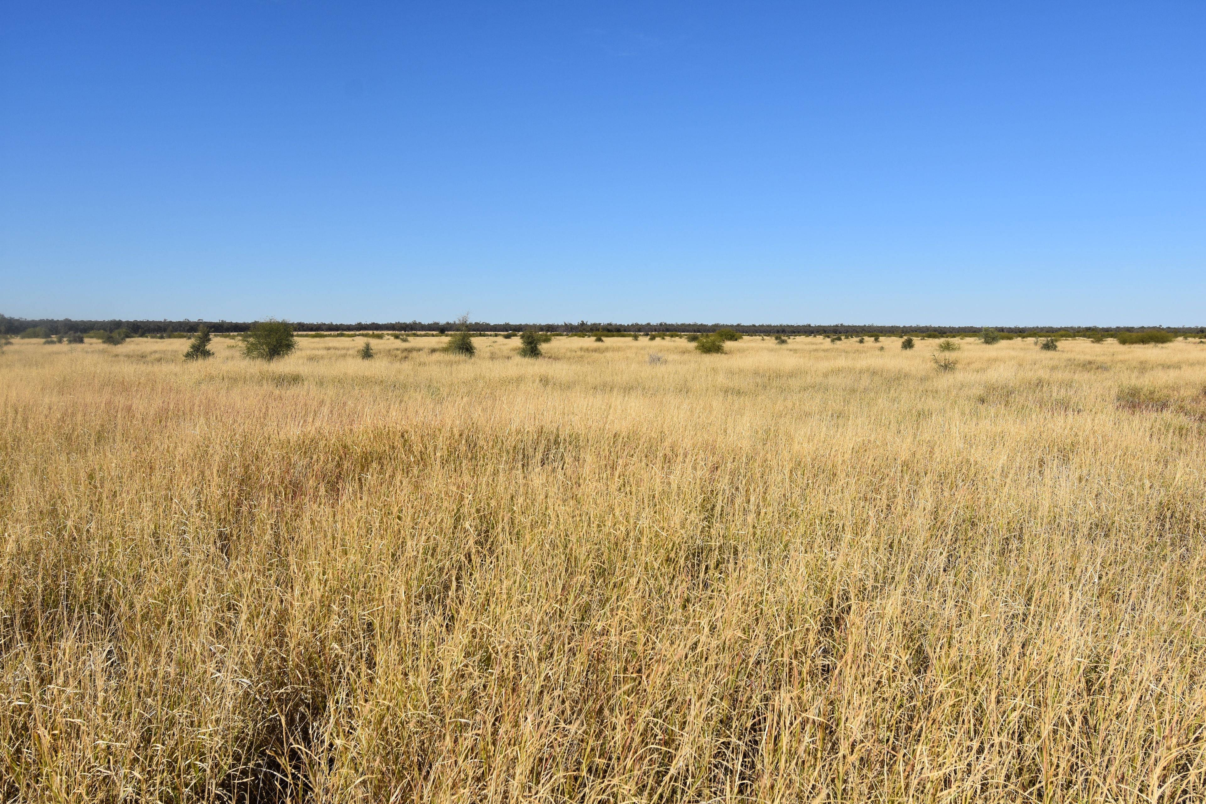 40565 Landsborough Highway, Barcaldine, QLD 4725