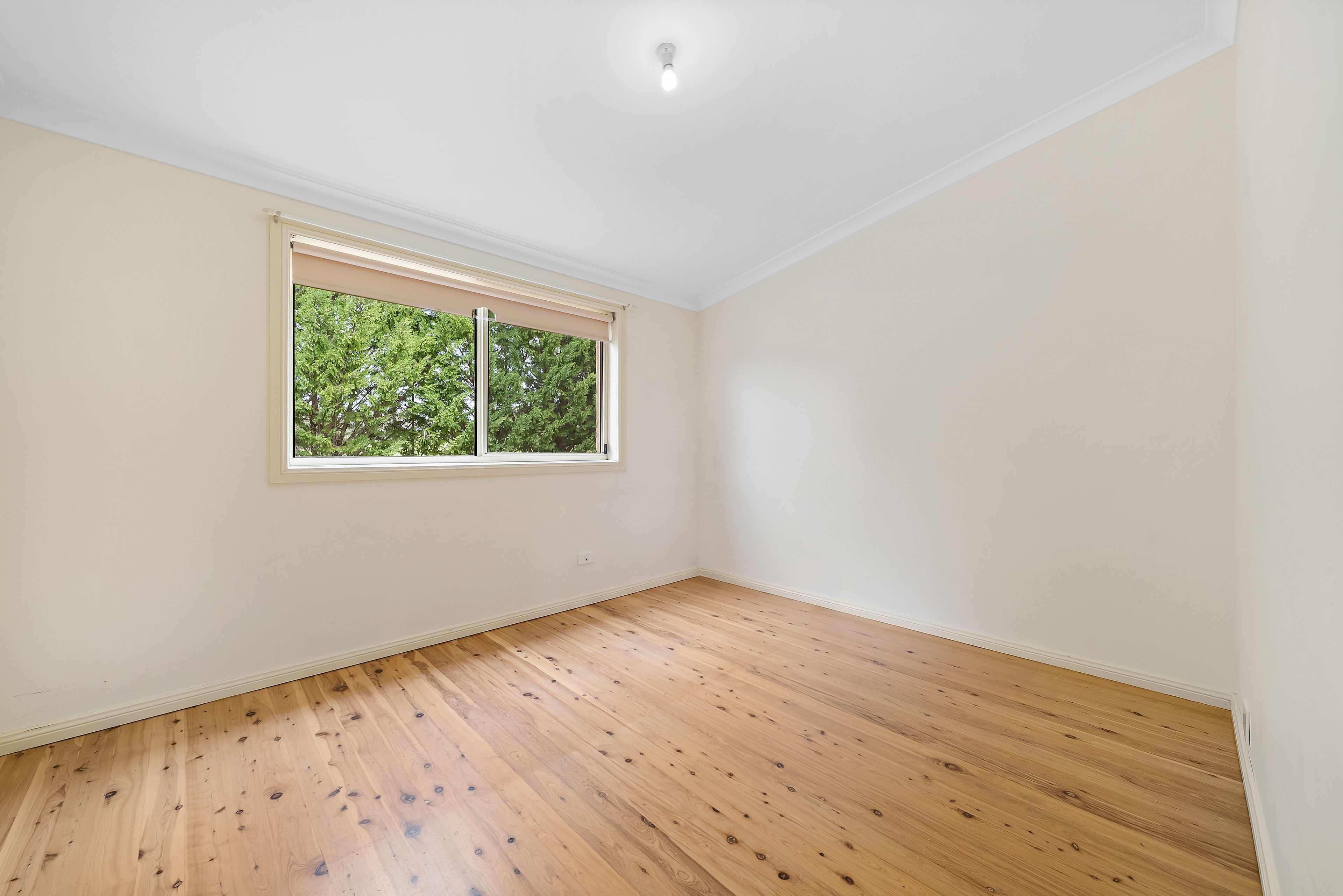 64 Lintott Lane — photo 10 of 22