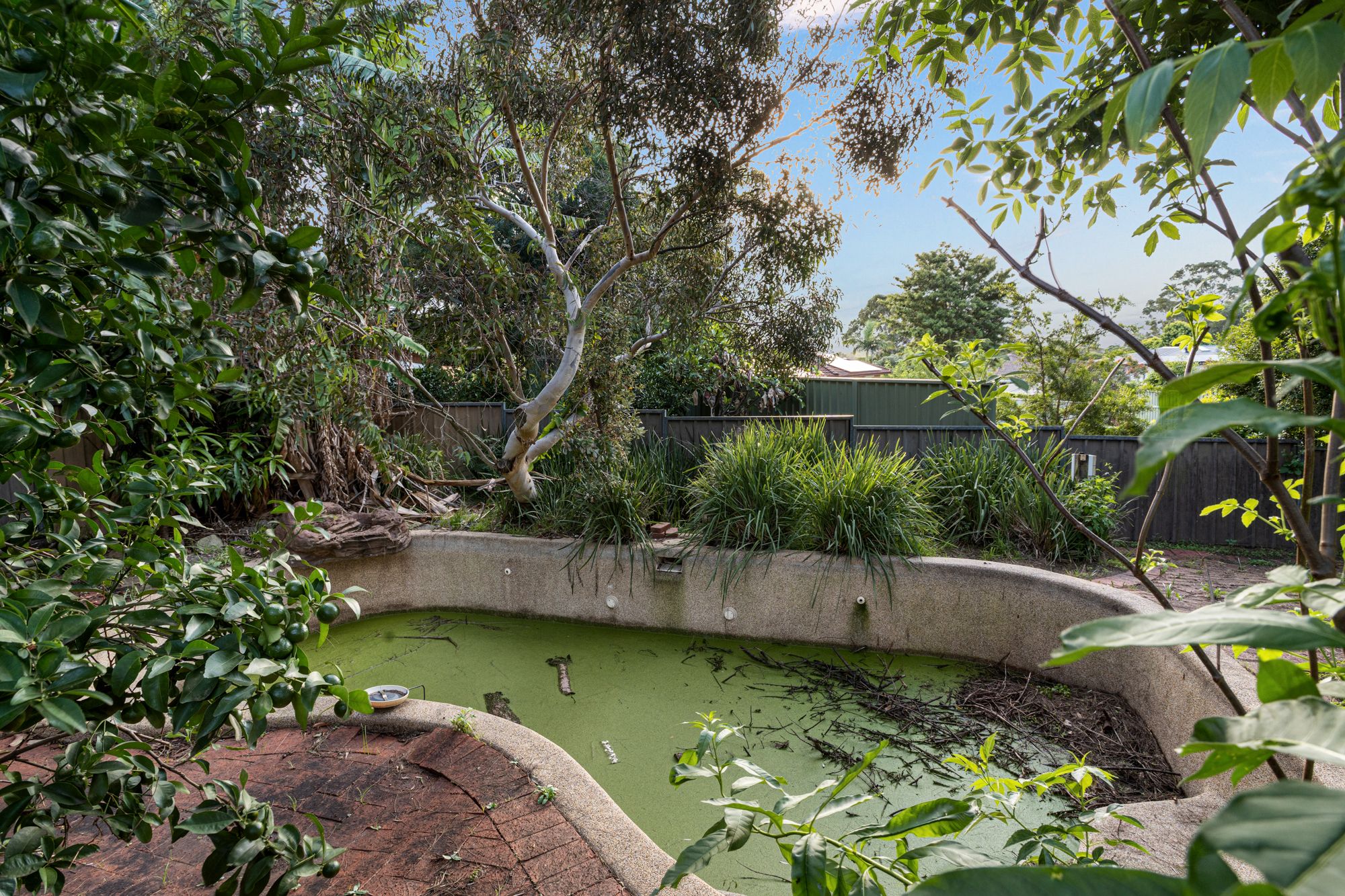 6 Sherridon Crescent, Quakers Hill, NSW 2763