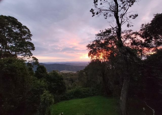 695 Main Western Road, Tamborine Mountain, QLD 4272