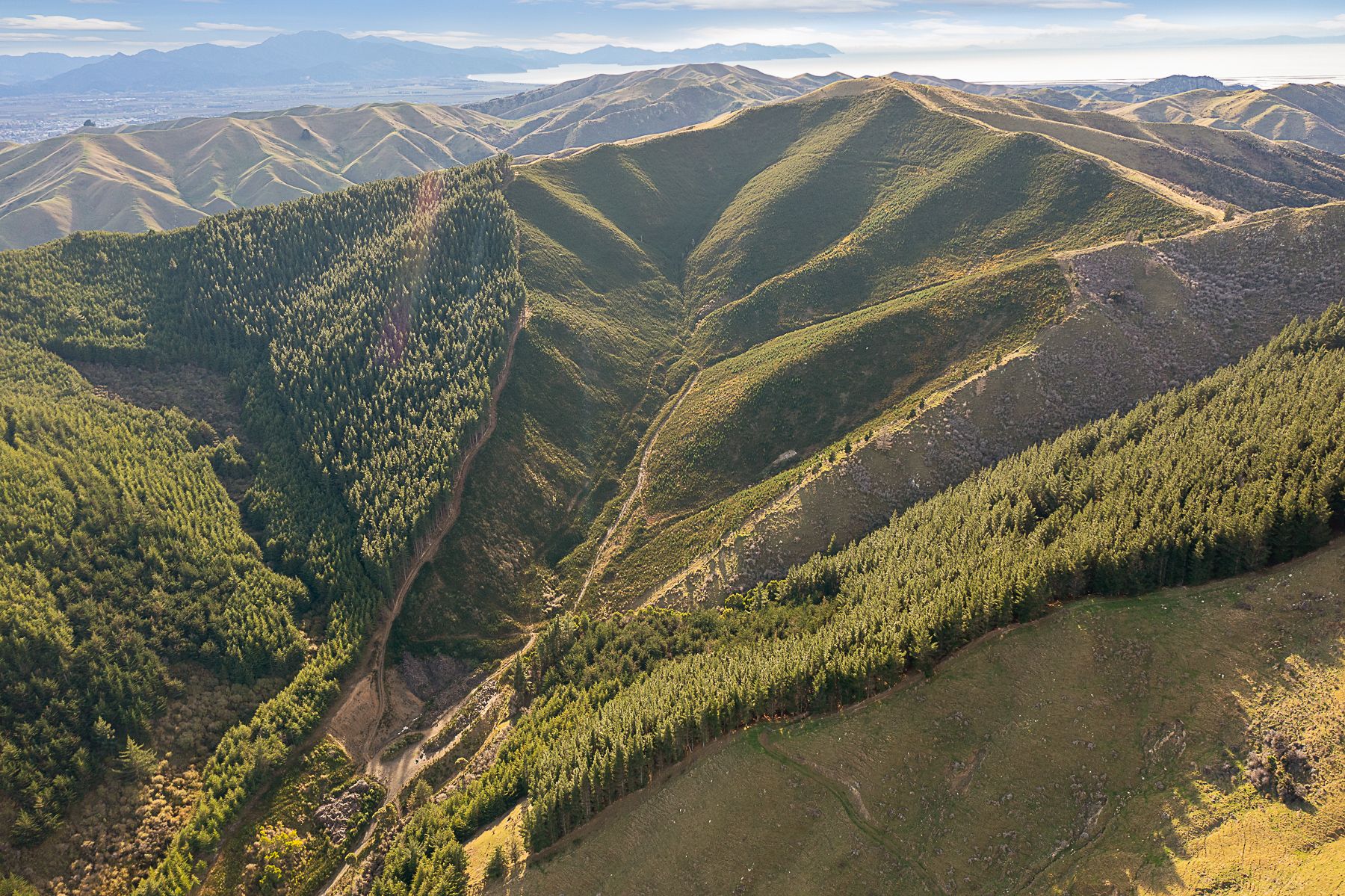 945 Taylor Pass Road, Blenheim, Marlborough 7201 Rural Forestry