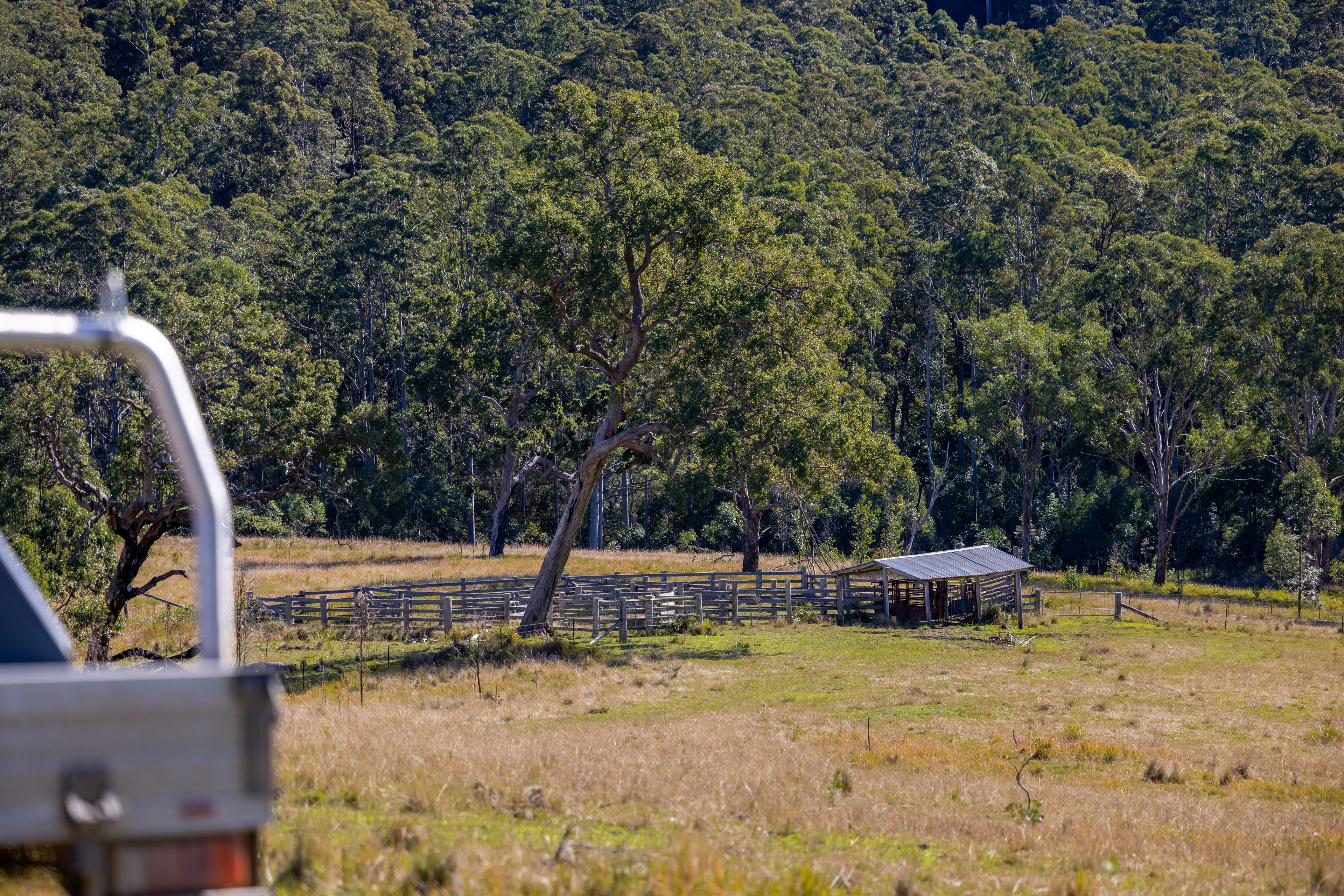 'The Oaks Estate' Lots 34, 35, 45, 61 Cells Road — photo 7 of 27