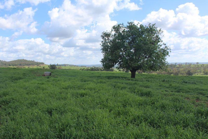 " Gunna Gumpy", Bingara, NSW 2404 Sold Rural Mixed Farming Property
