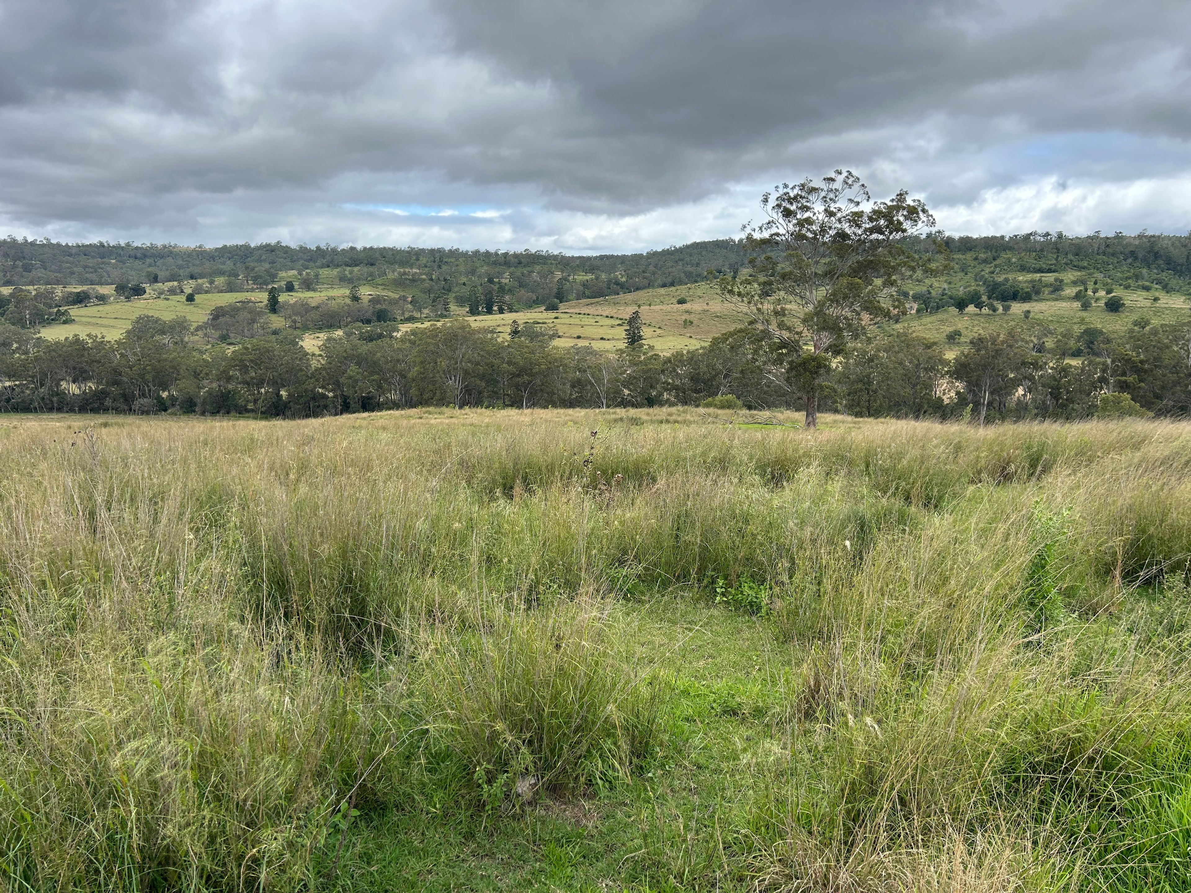 Lot 295 Schick Road, Thornville, QLD 4352 Rural Property for Sale