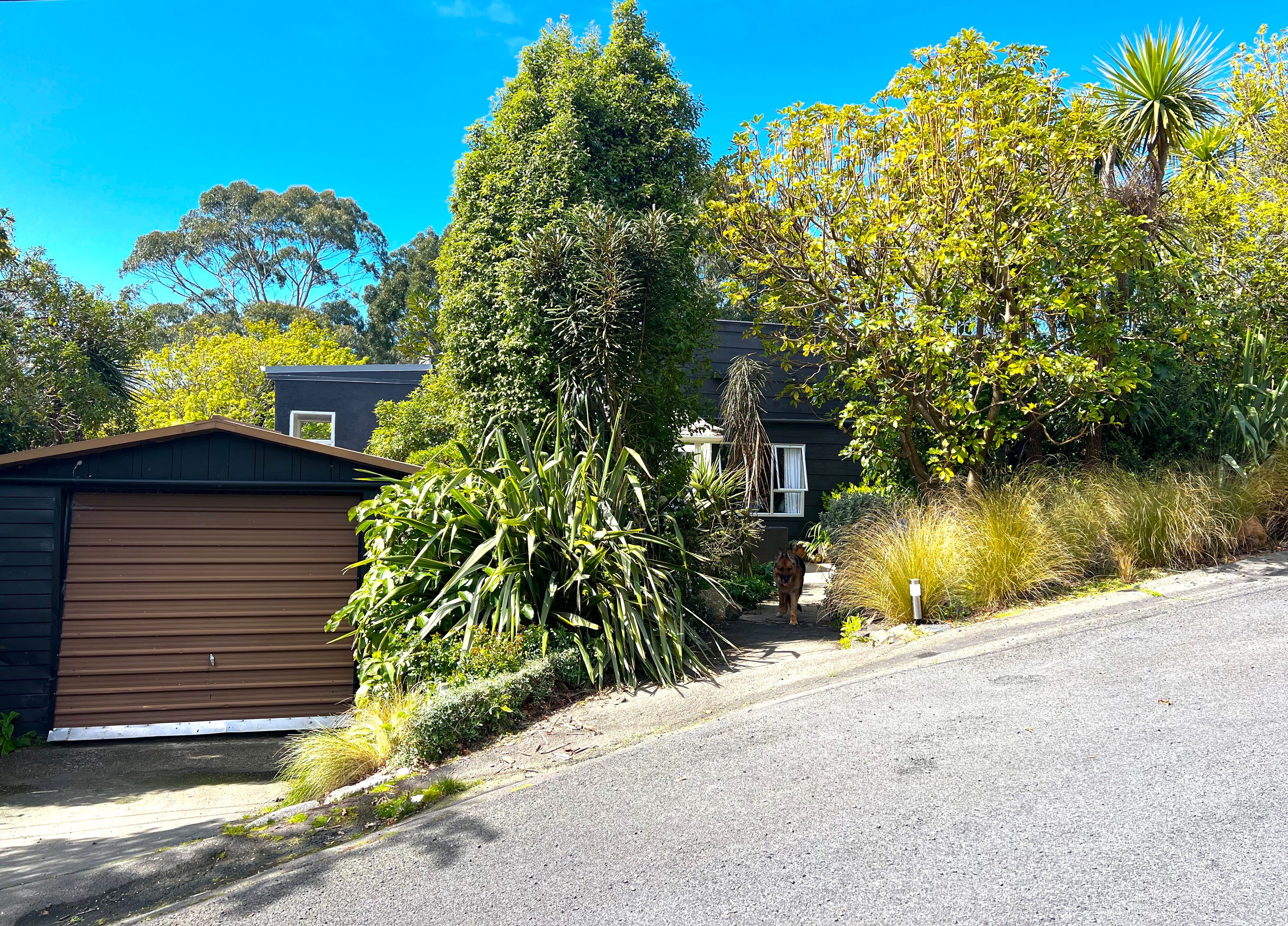 37 Frances Street, Broad Bay, Dunedin City 9014 Sold House Ray