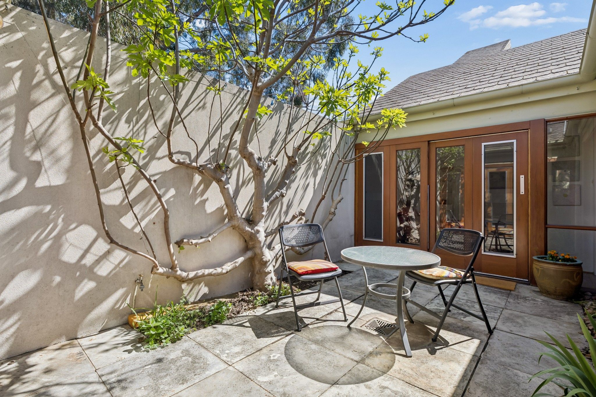 2 Mclaren Street — photo 21 of 25