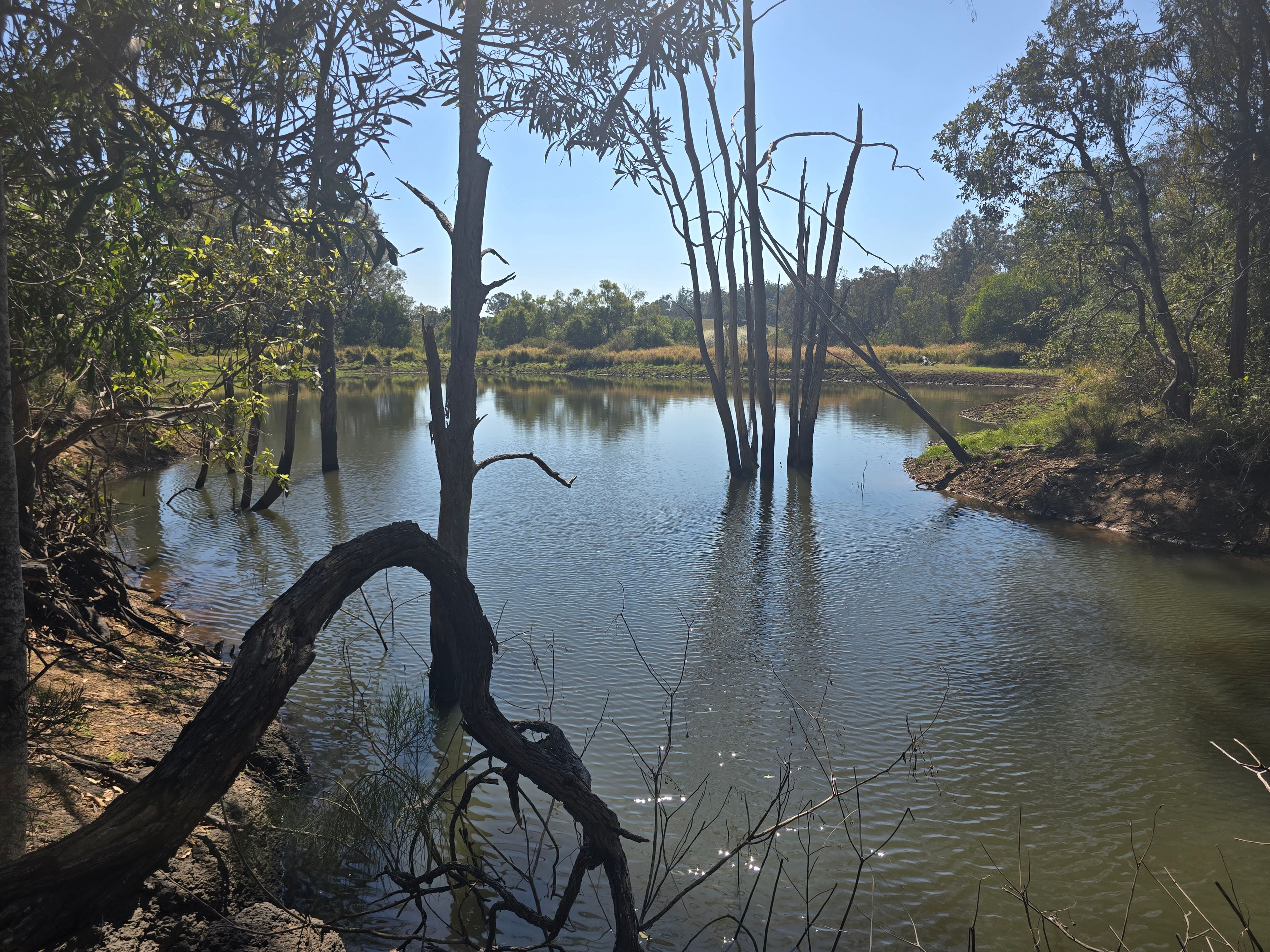 42 Austin Road, Crows Nest, QLD 4355