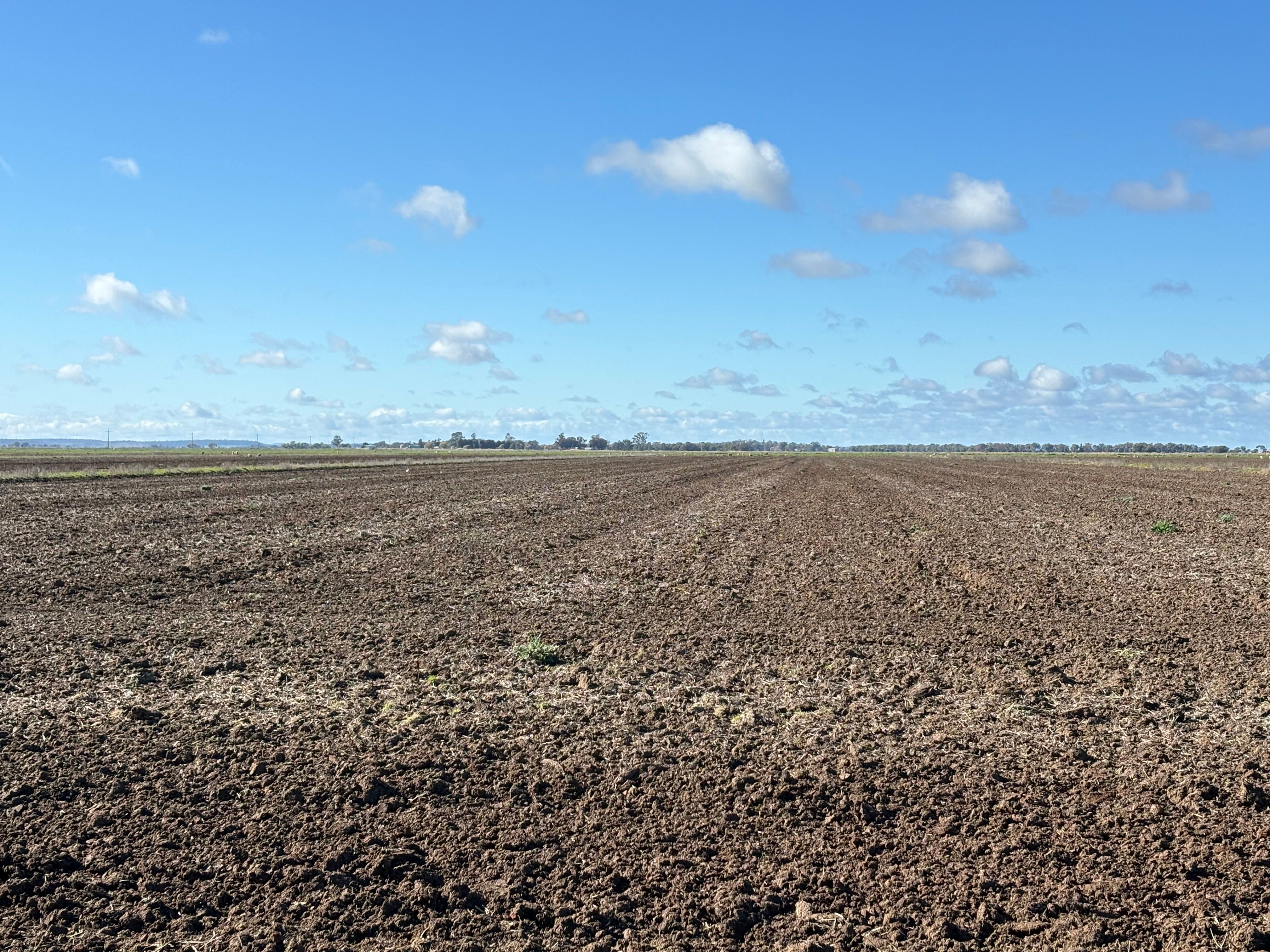( Davit Farm ) Cashmere Road — photo 11 of 17