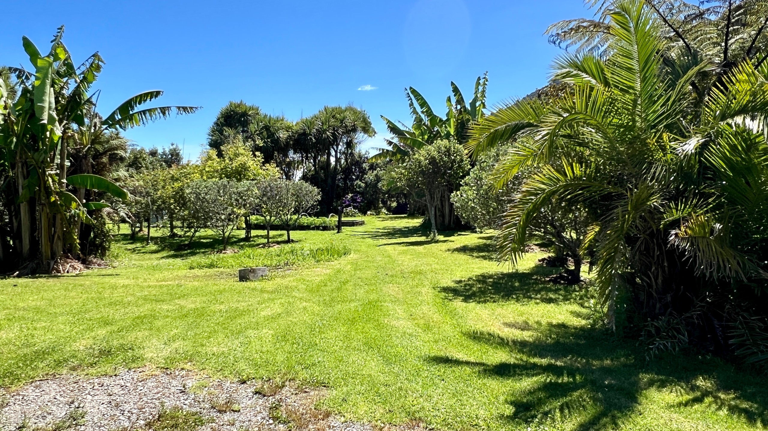 37 Nikau Road, State Highway 67, Hector, Buller District