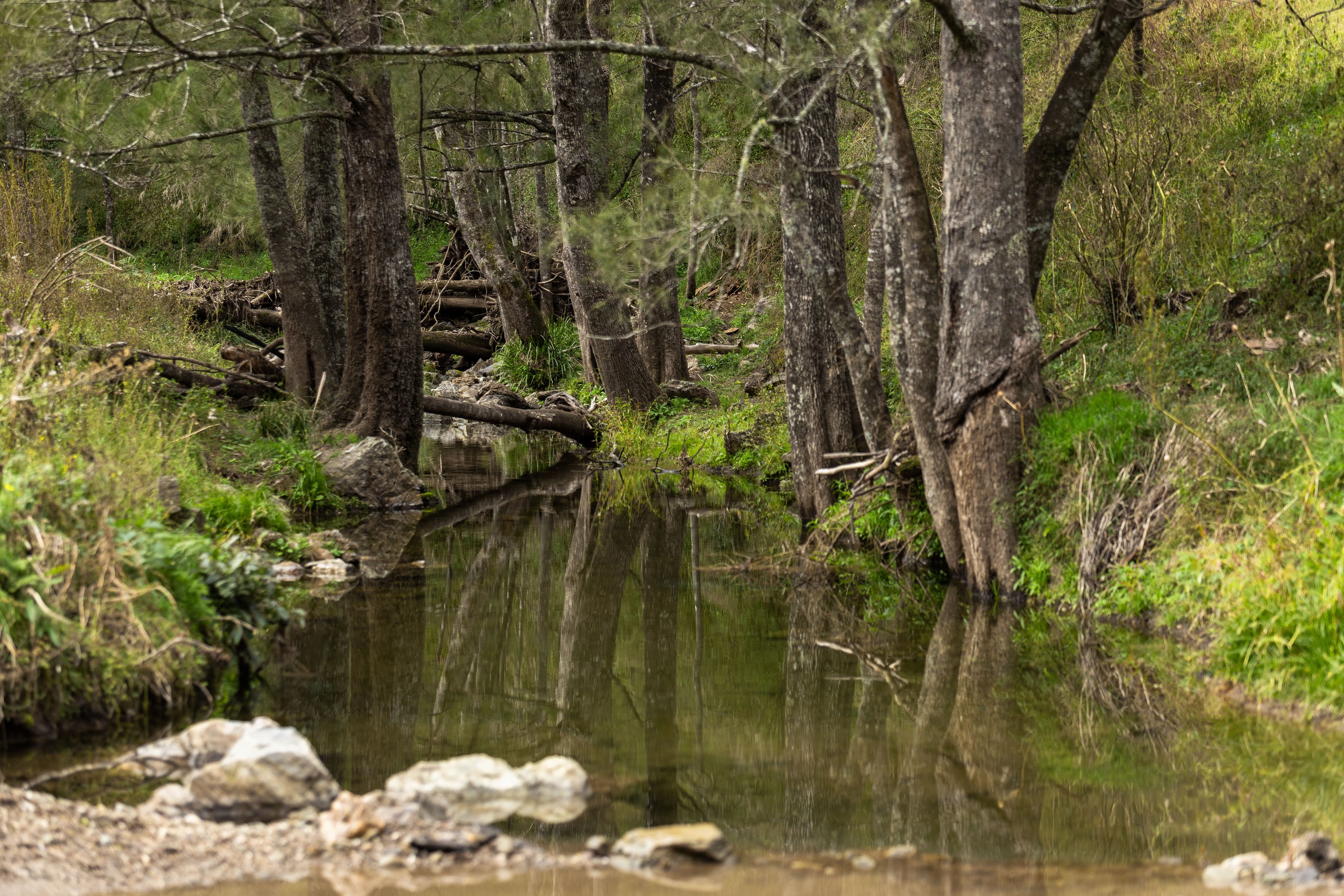McPhersons Country Estates, Enfield Range Road, Cells River, NSW 2424