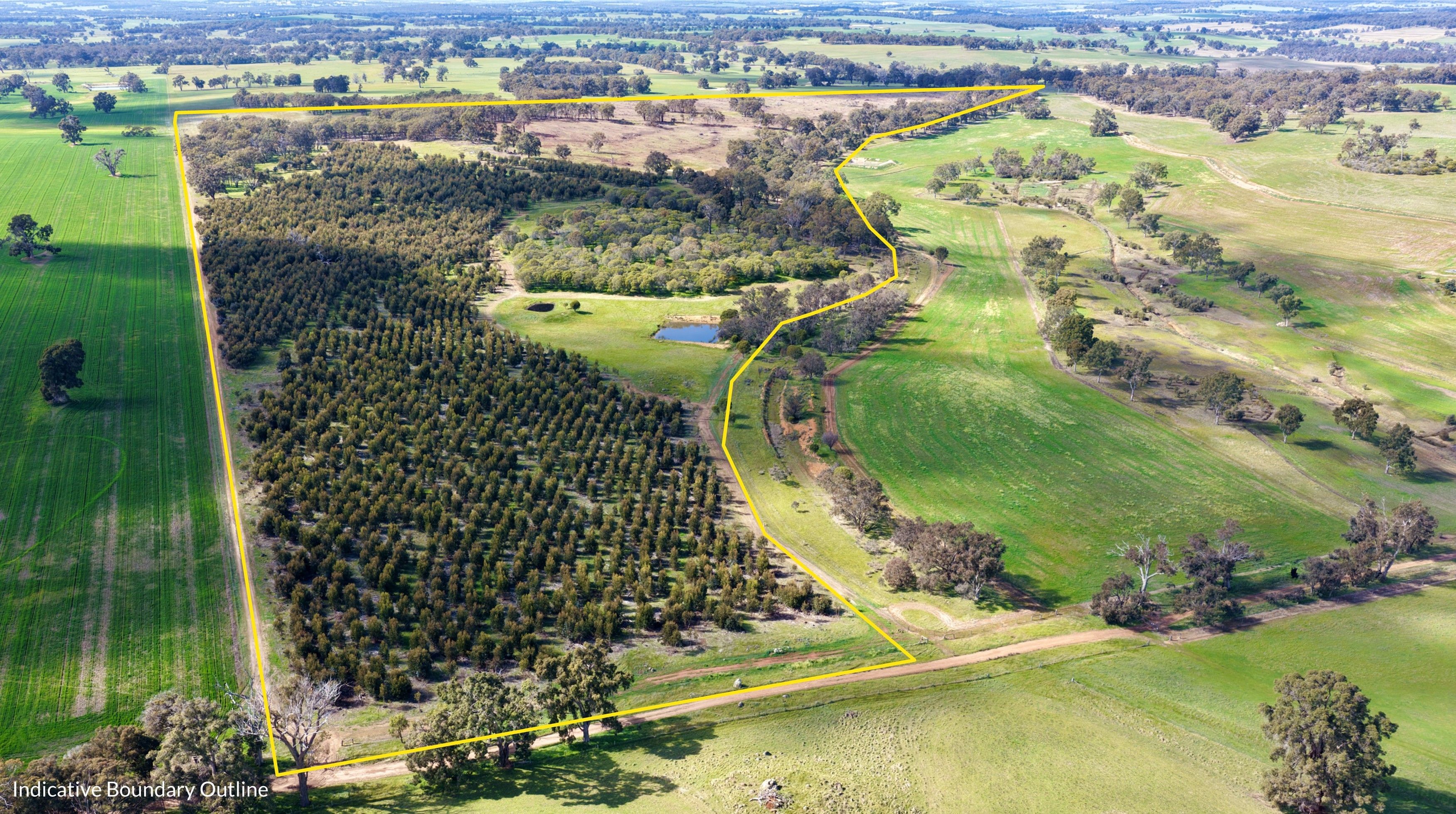 Lot 100 Area Road — photo from Ray White Stocker Preston | Bridgetown
