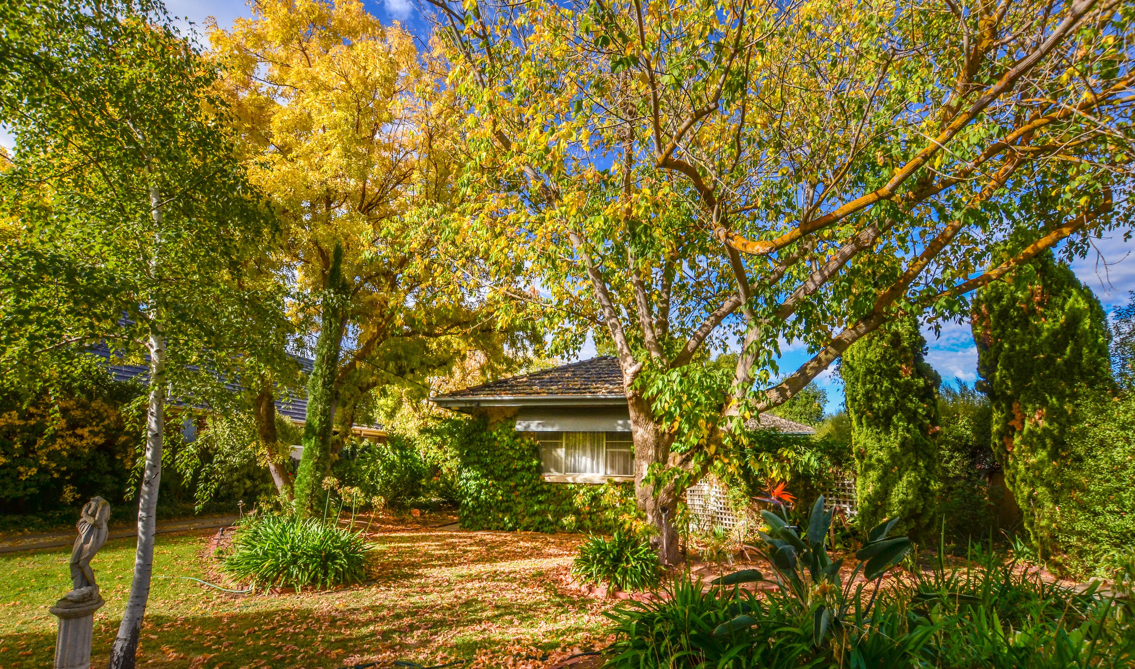 54 Hopwood Street, Echuca VIC 3564