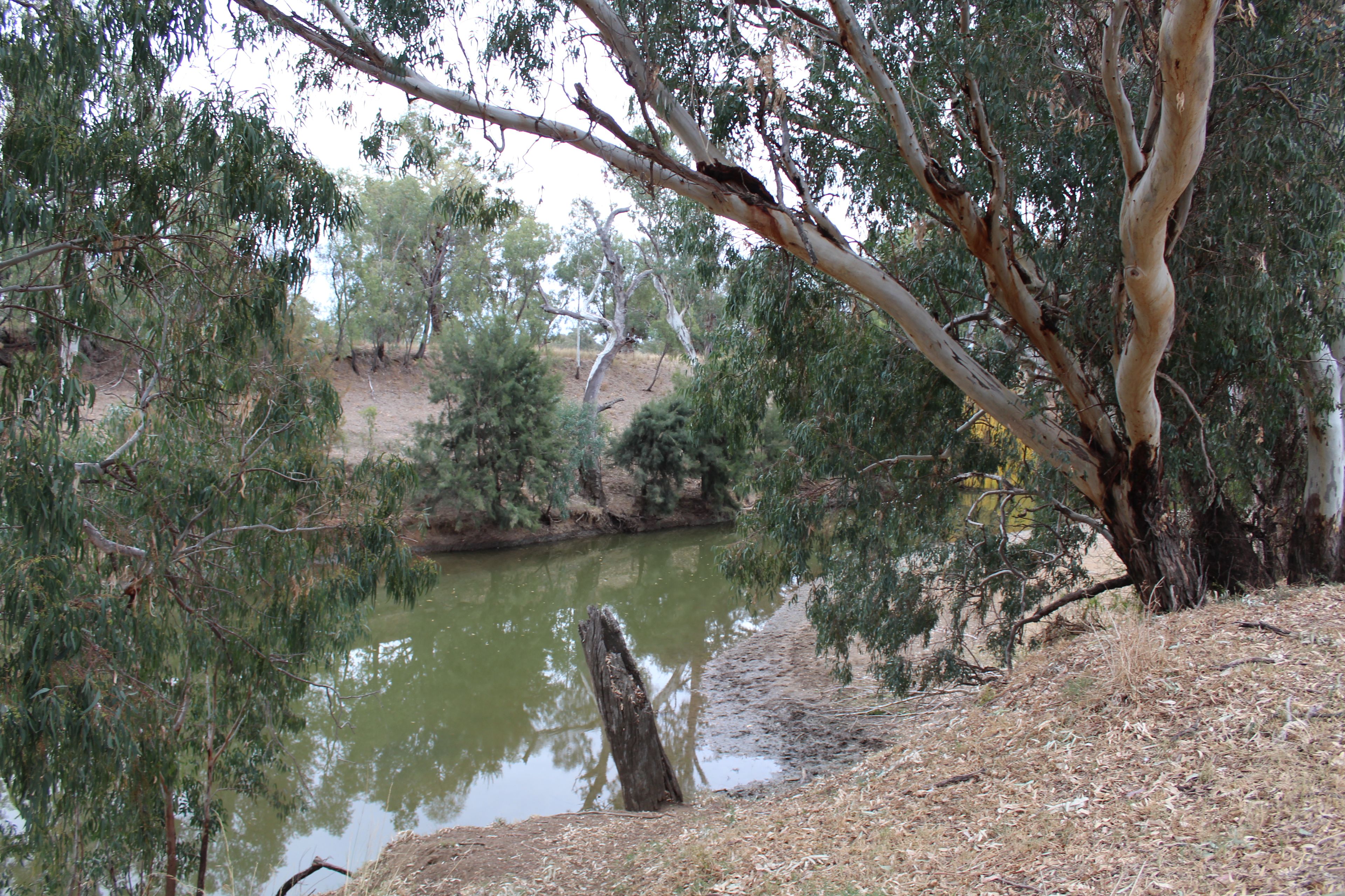 Gunnedah, NSW 2380