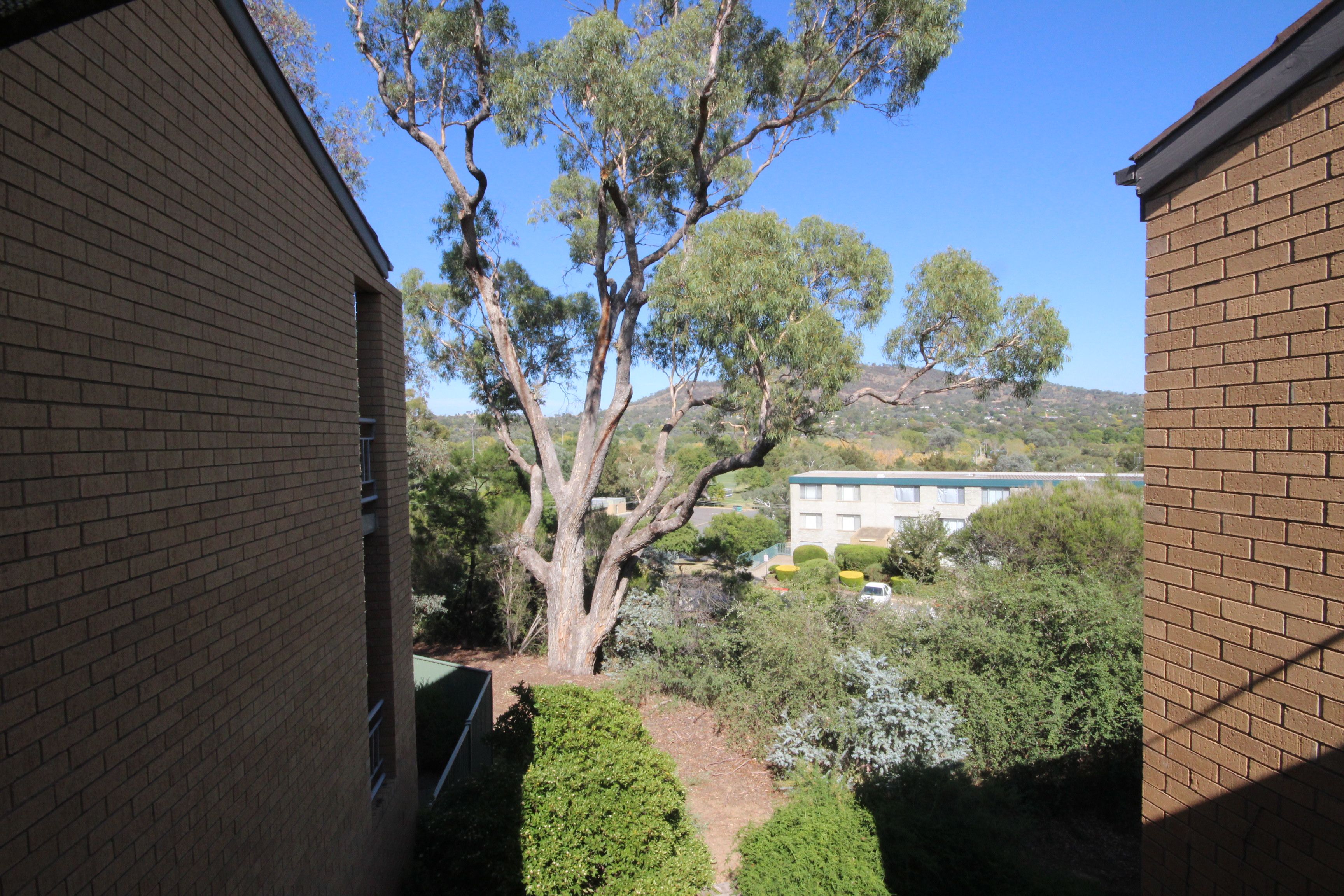 31/10 Wilkins Street — photo 12 of 15