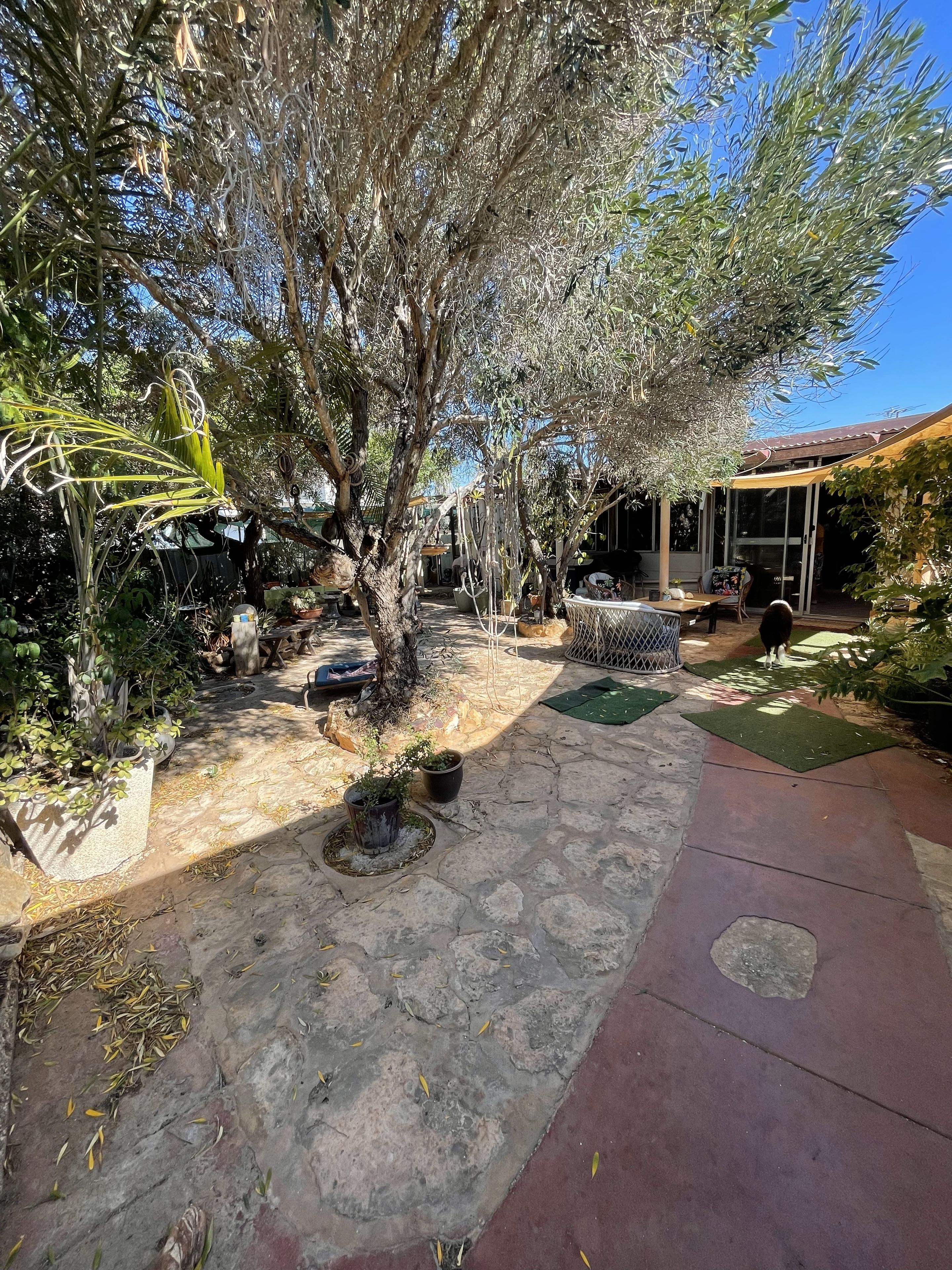 12 Hughes Street, Denham, WA 6537