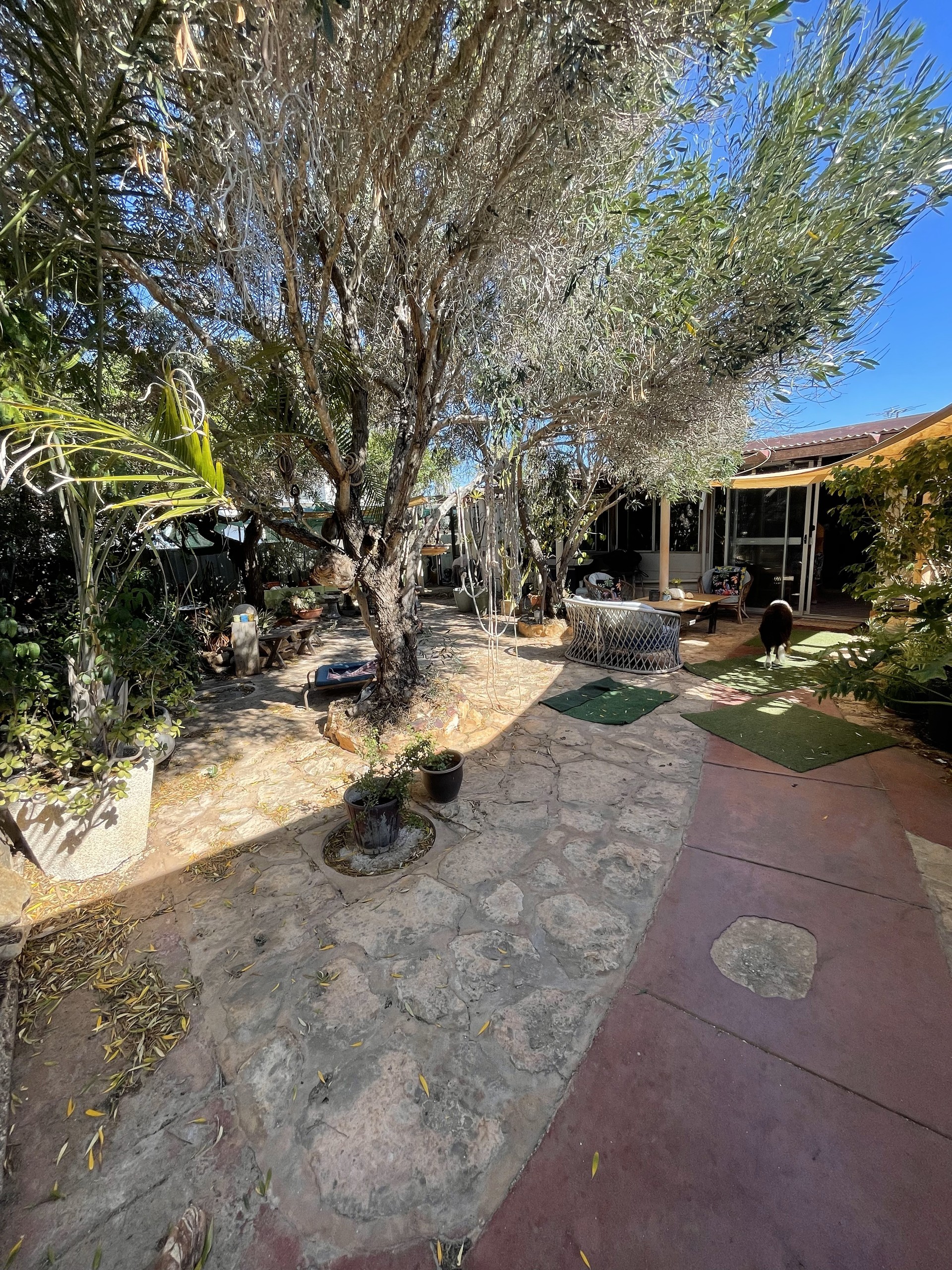 12 Hughes Street, Denham, WA 6537