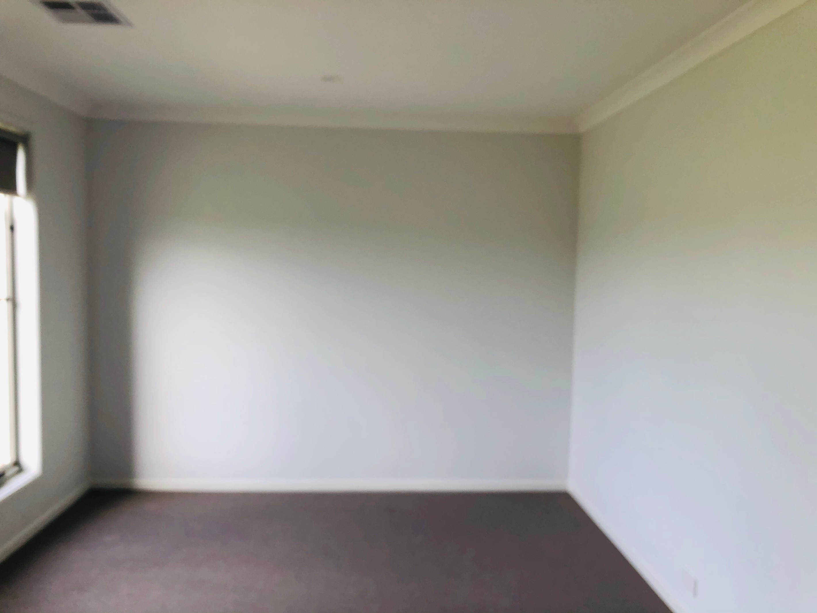 12 Abalone Walk, Tarneit, VIC 3029