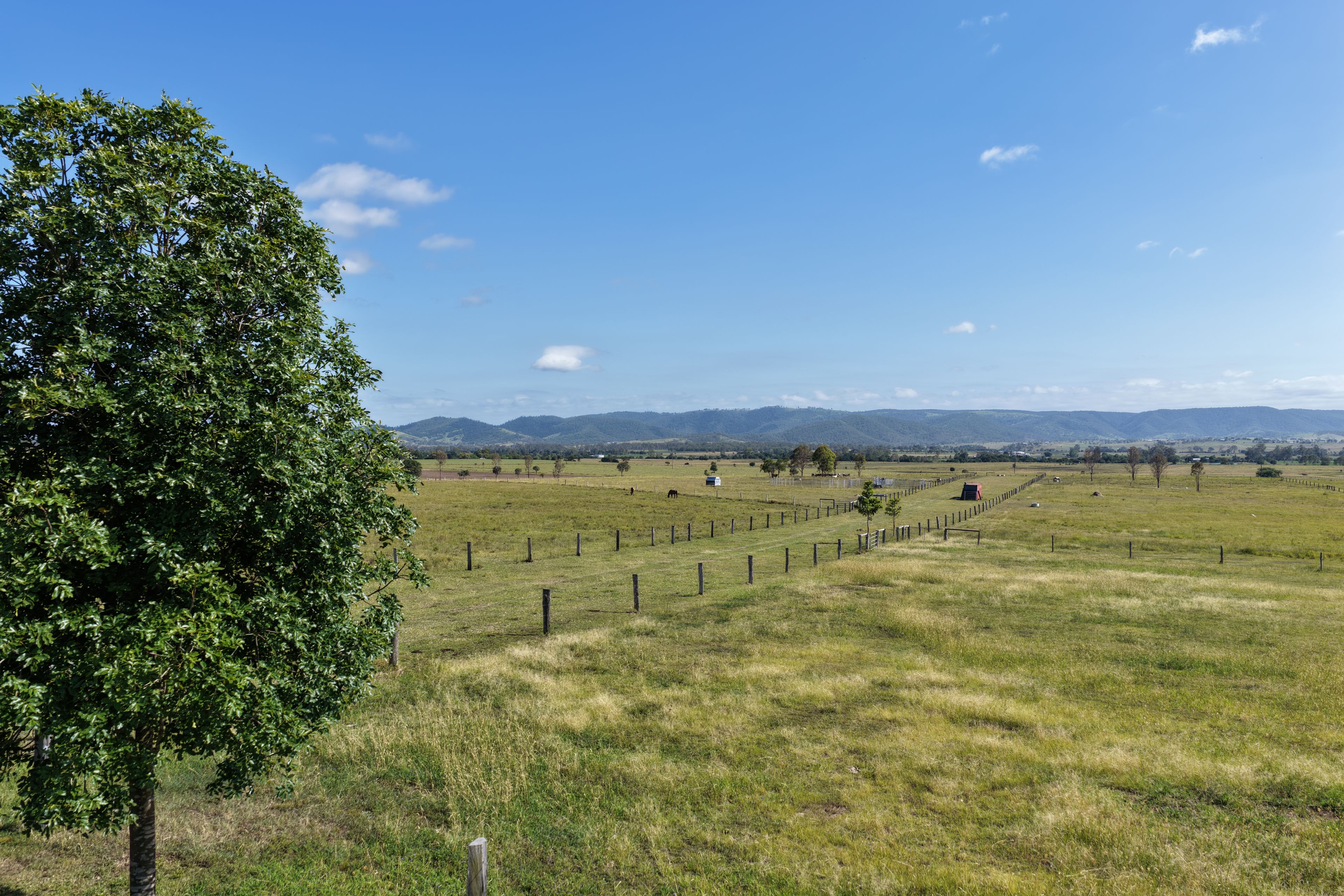 Ray White Rural Queensland