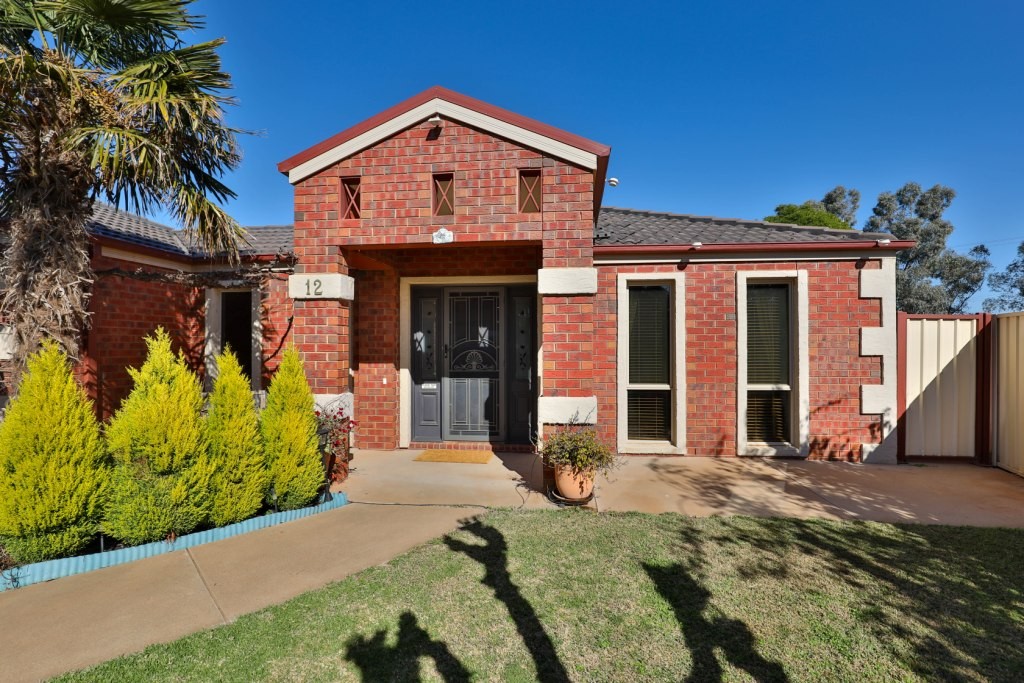 12 Mary Court, Robinvale, VIC 3549