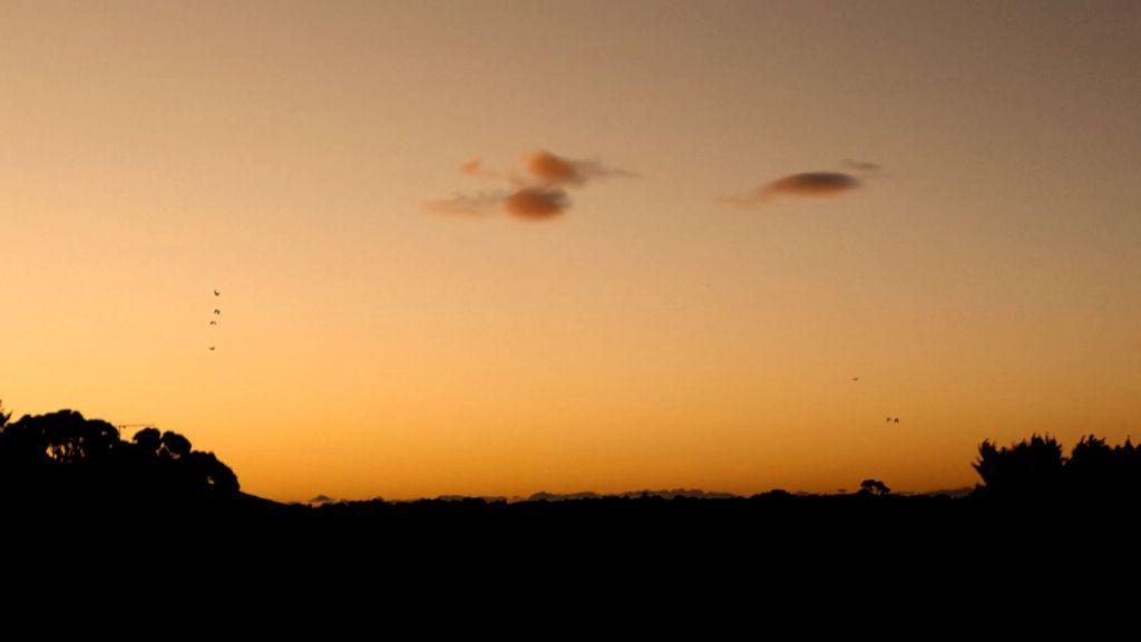 11/2-8 Short Road, Riverwood, NSW 2210