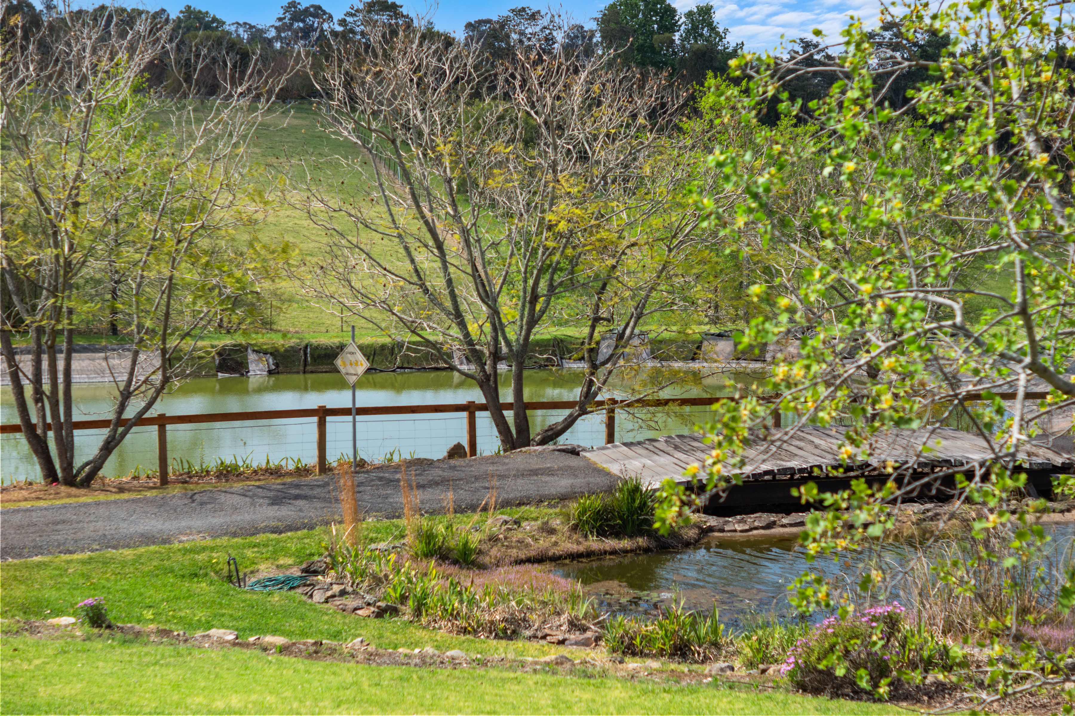"Little Kurrajong" — photo 4 of 27