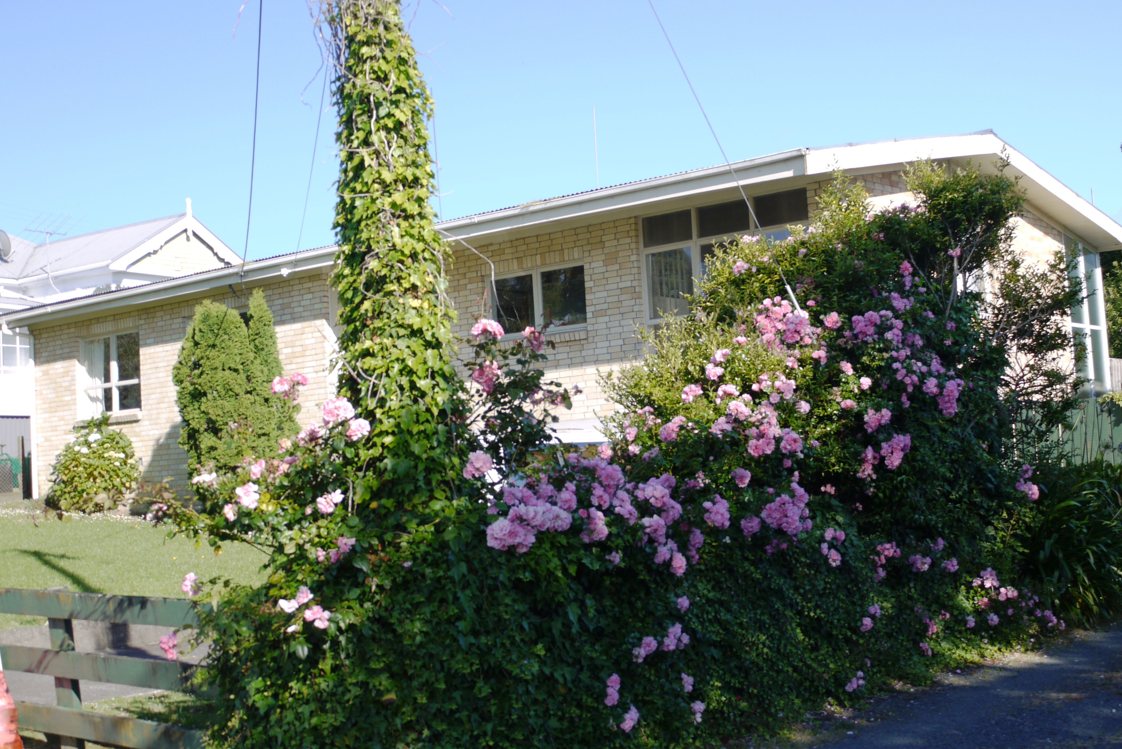 40 Hill Street, Warkworth, Rodney