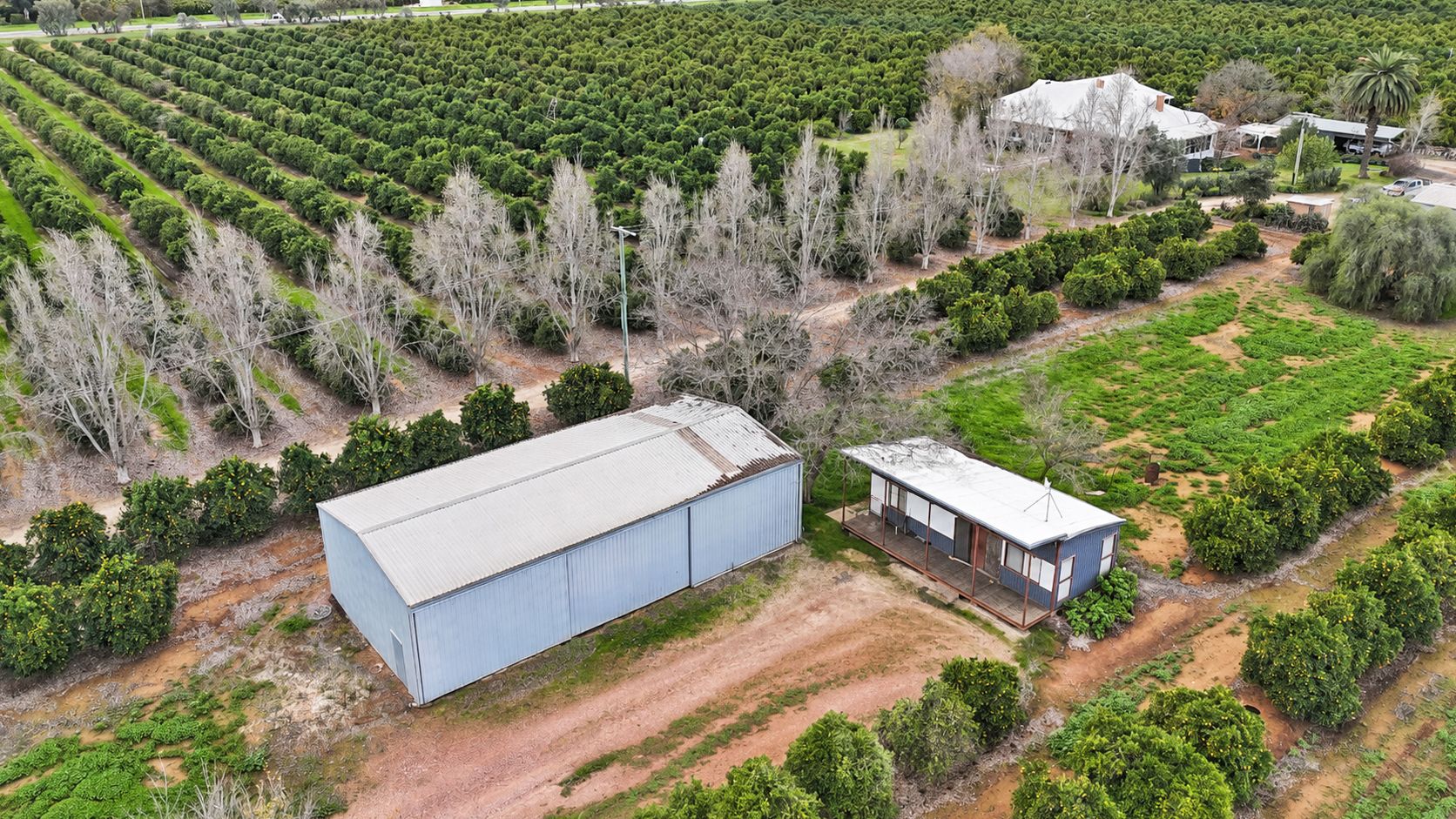 Farm 253/29 Ross Road — photo 28 of 29