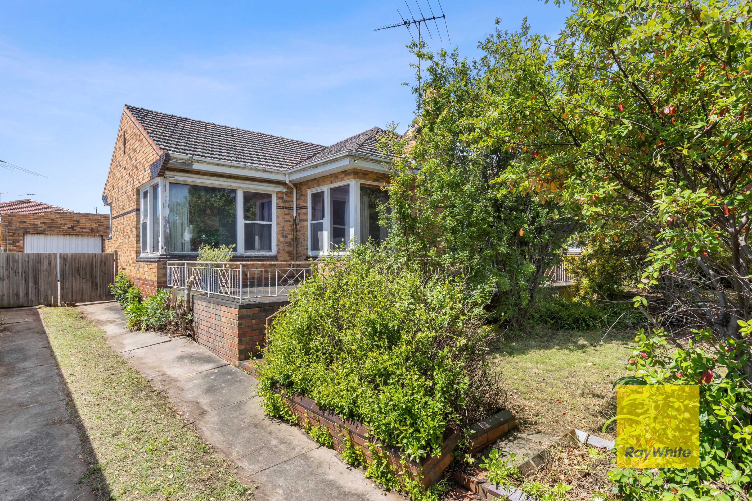 11 Brocka Avenue, Belmont, VIC 3216