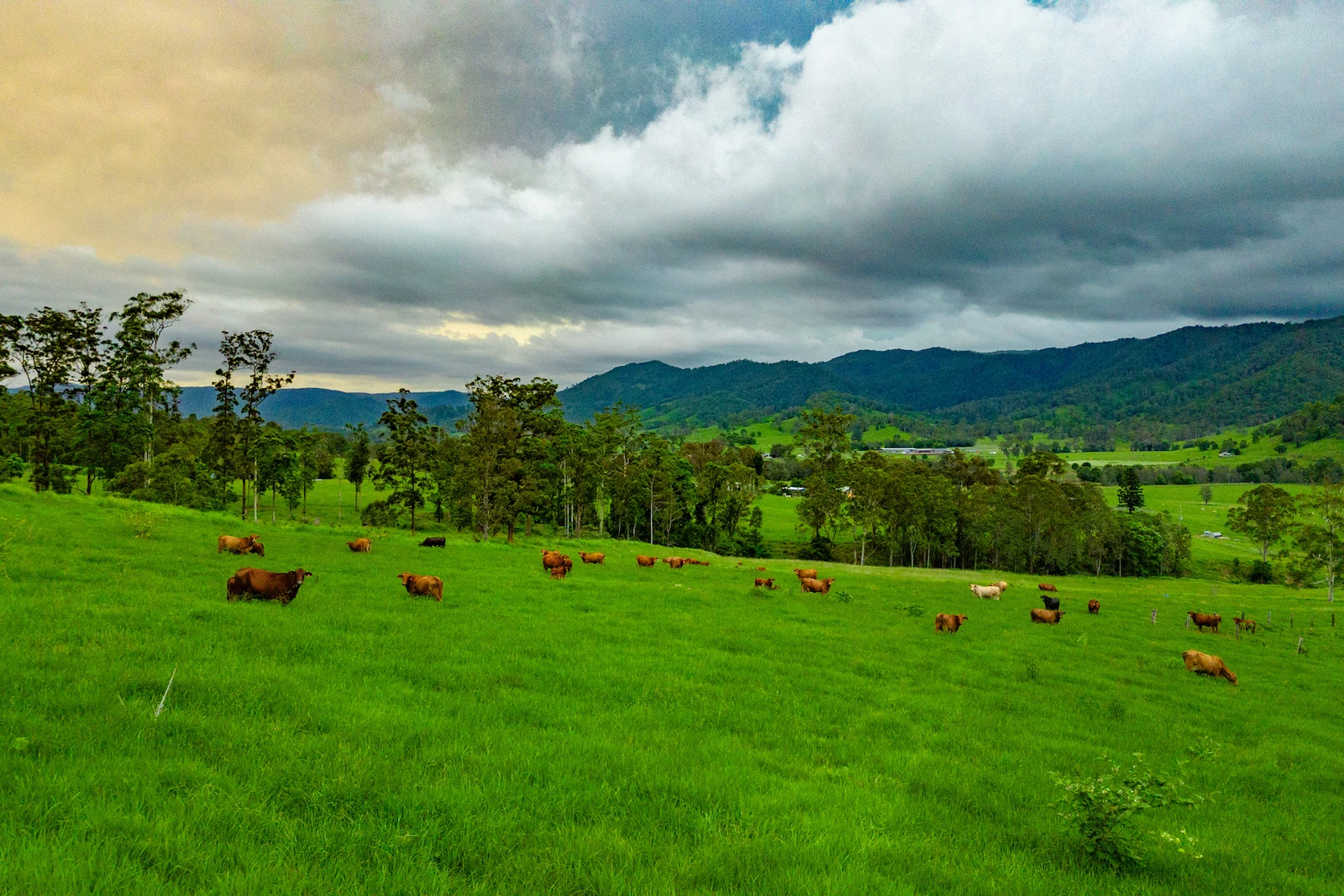 Cielo Verde Acres 922 Eastern Mary River Road, Cambroon, QLD 4552