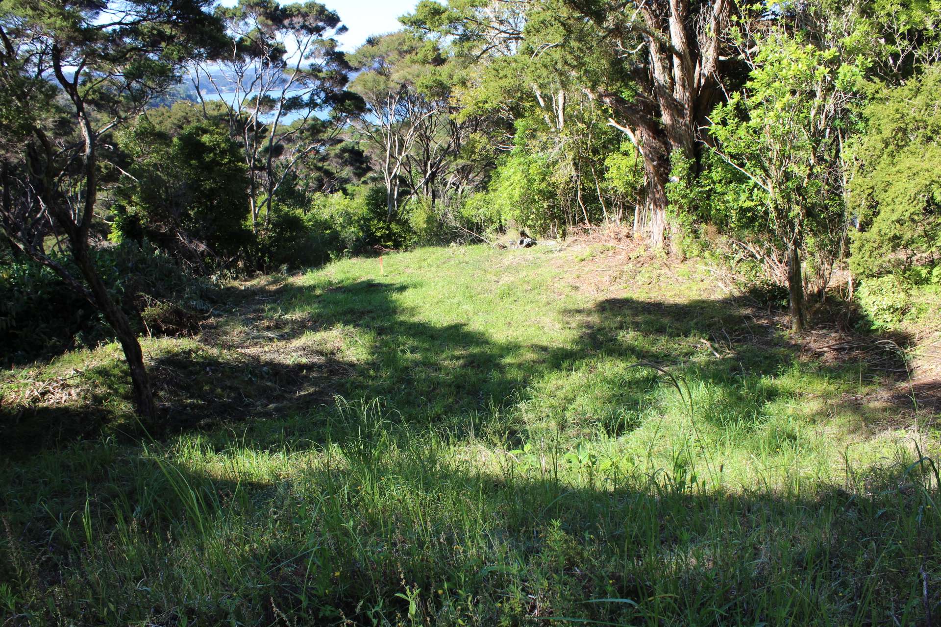 Russell  Far North District  0202 photo 6
