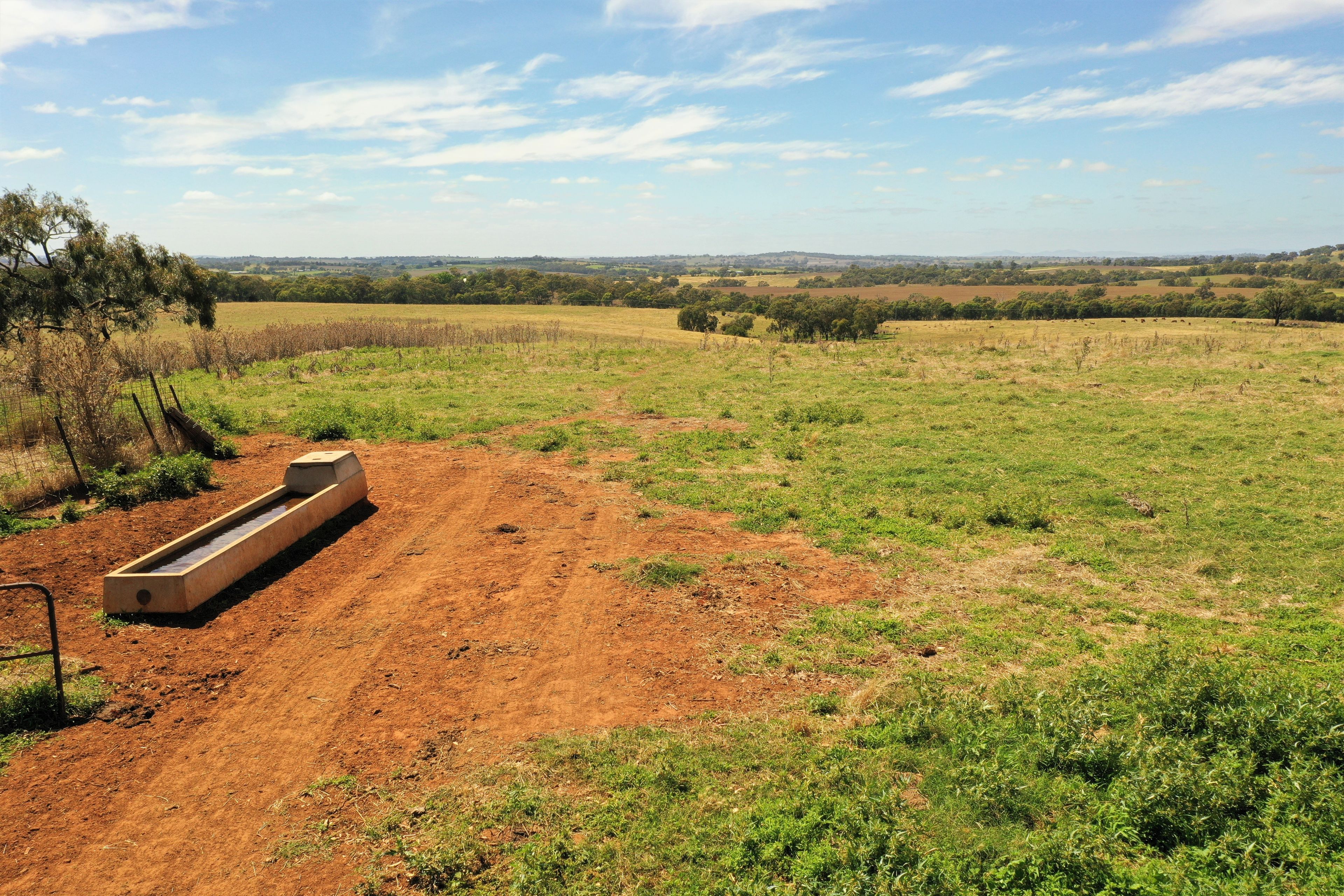 Lots 82, 83 & 84 Olympic Highway, Wombat, NSW 2587 Land for Sale