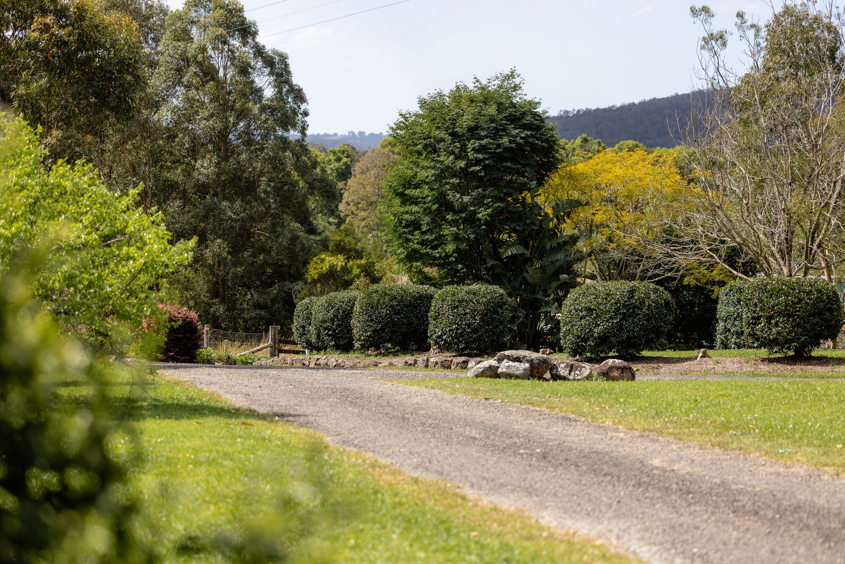 12501 Pacific Highway, Coolongolook, NSW 2423