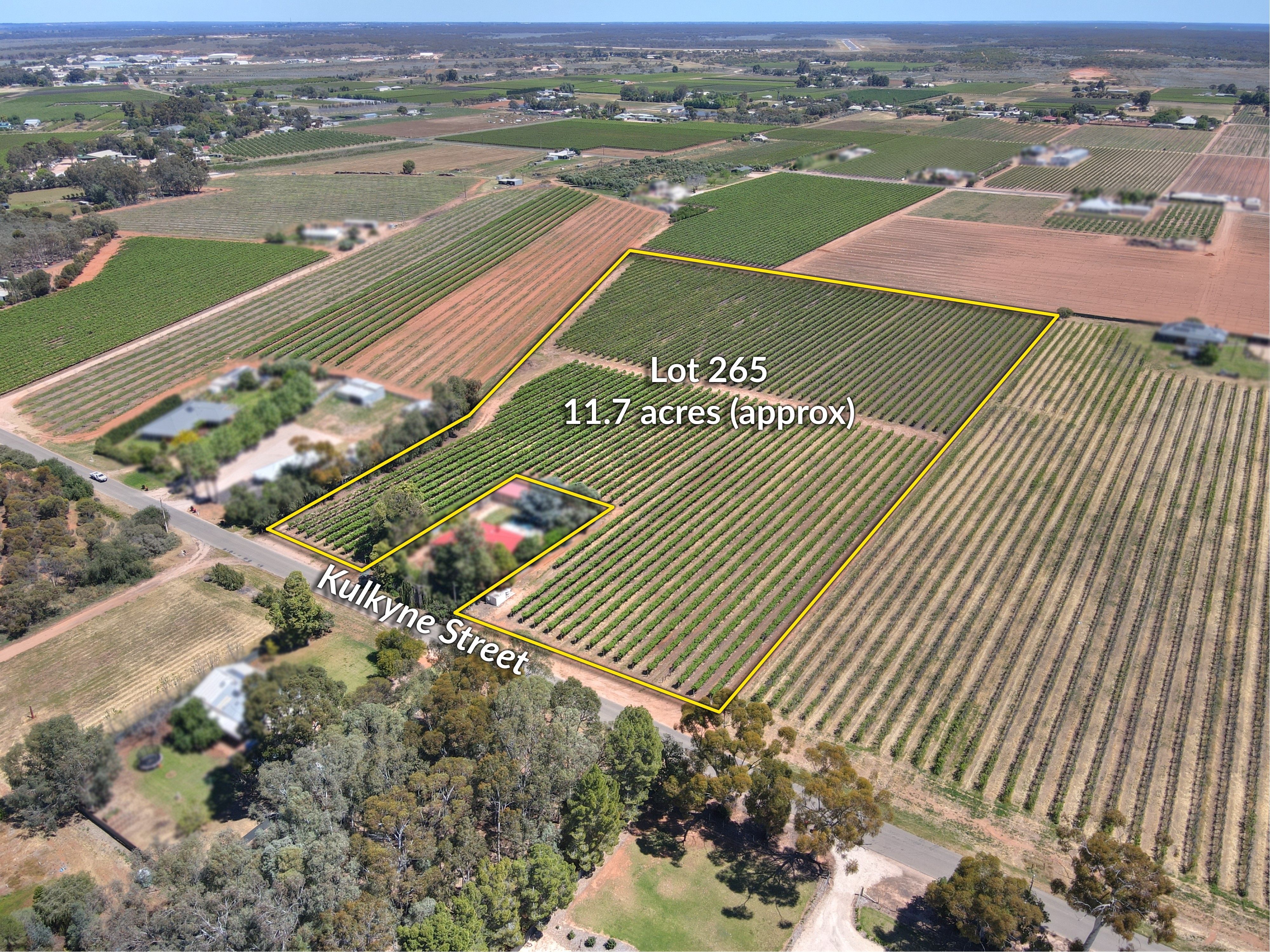 Lot 265 Kulkyne Street — photo from Ray White Riverland