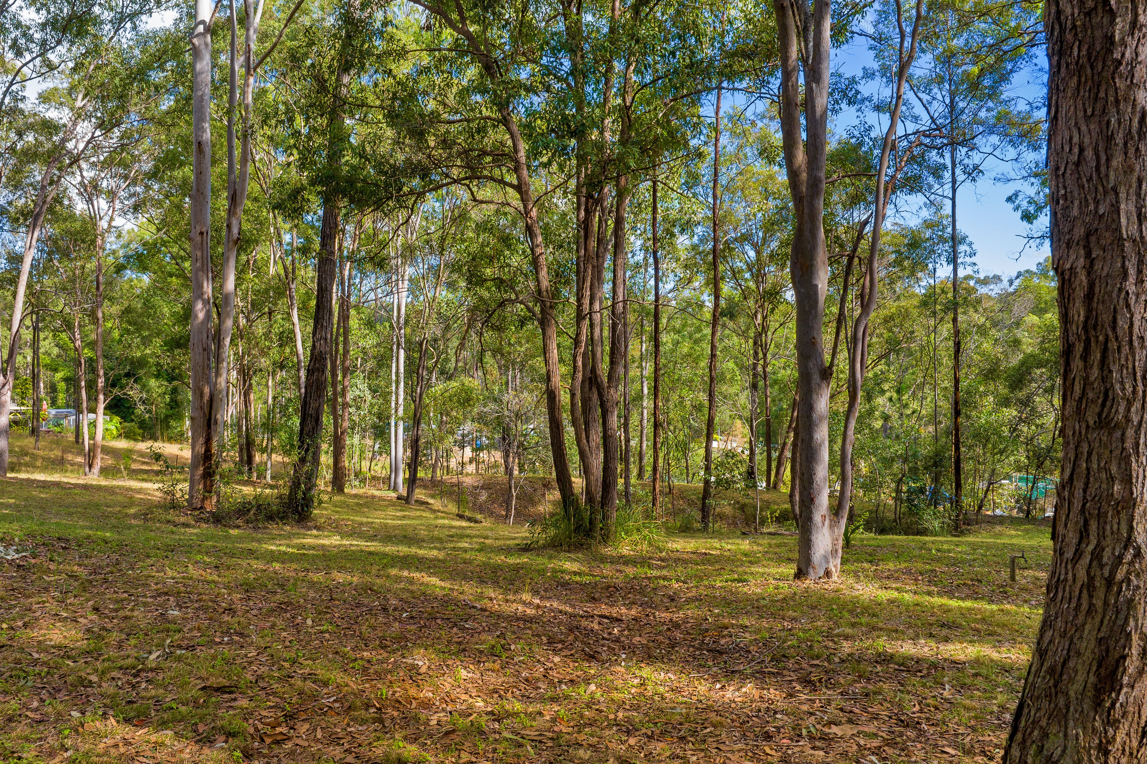 Lot 111 Trotter Road — photo 10 of 12