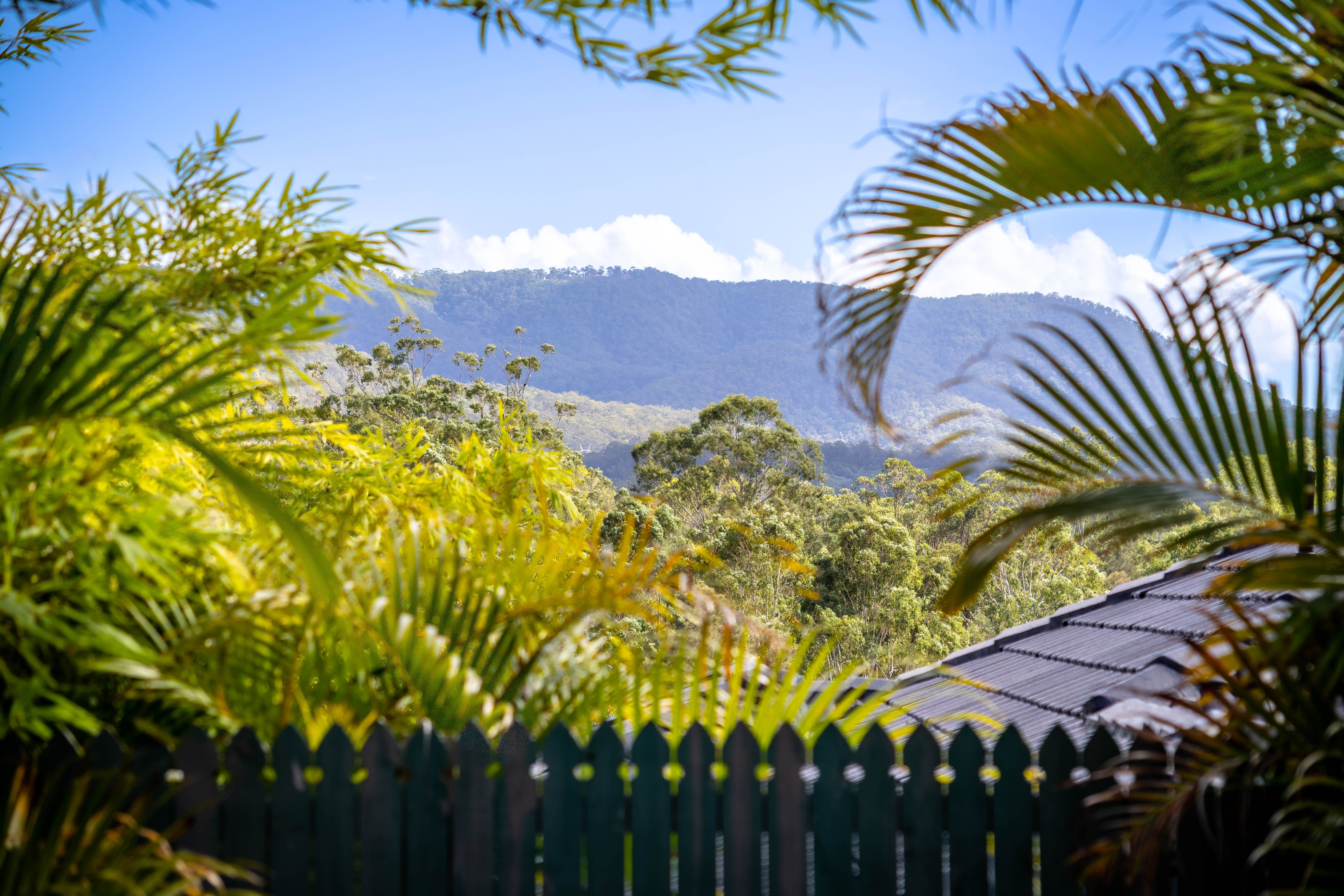 27 Honey Eater Court, Gilston, QLD 4211