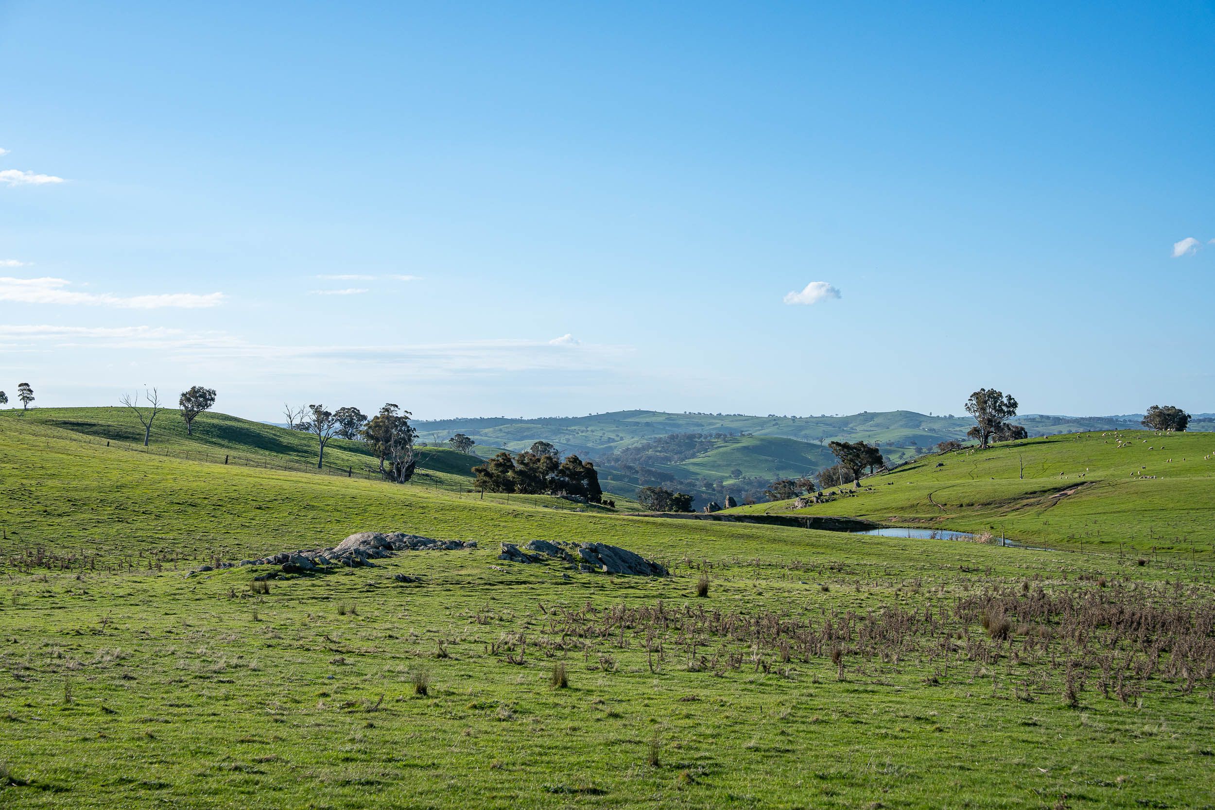 680 Fish River Road NARRAWA VIA — photo 25 of 27